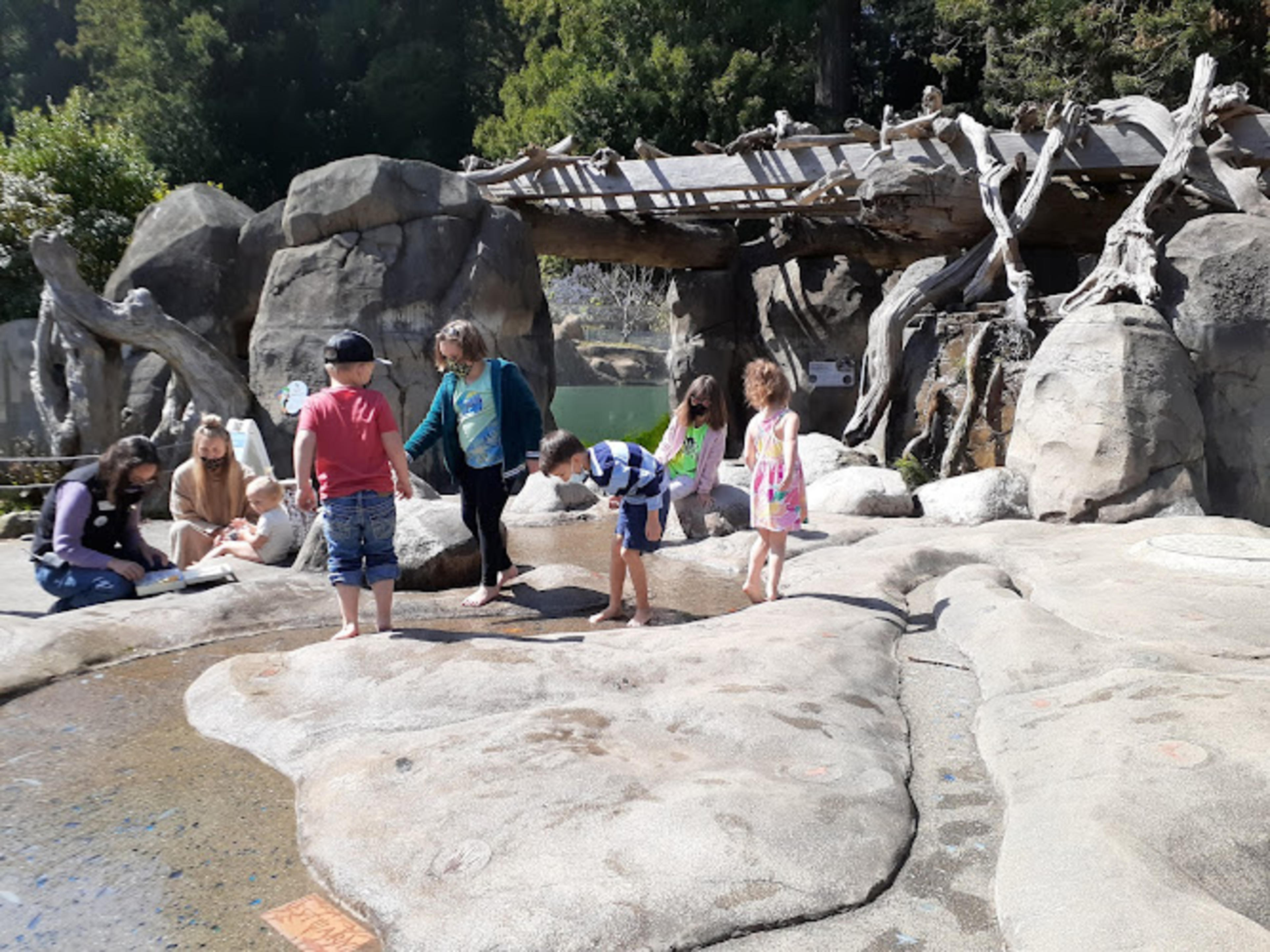 Sequoia Park