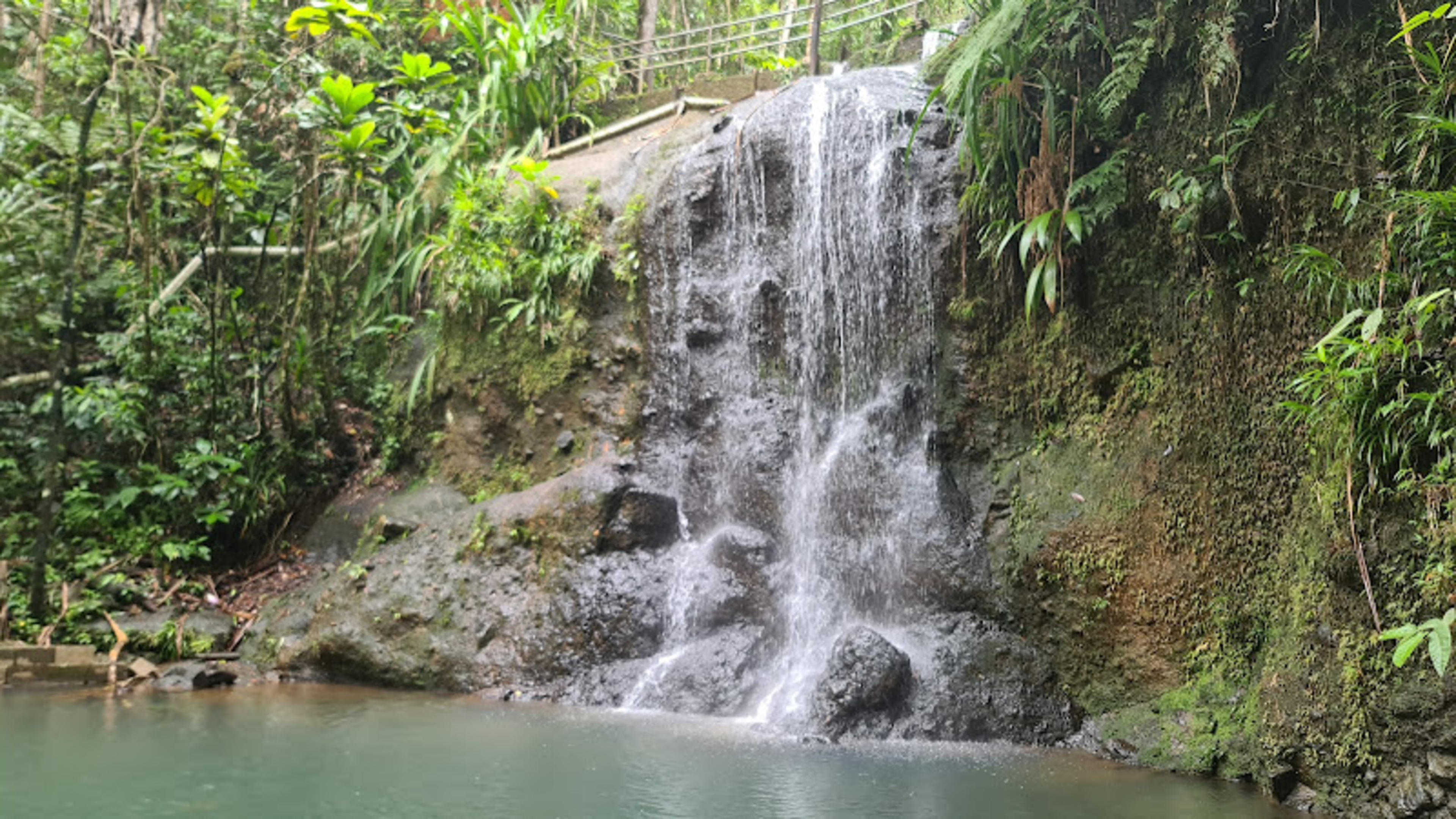 Colo-I-Suva Forest Park