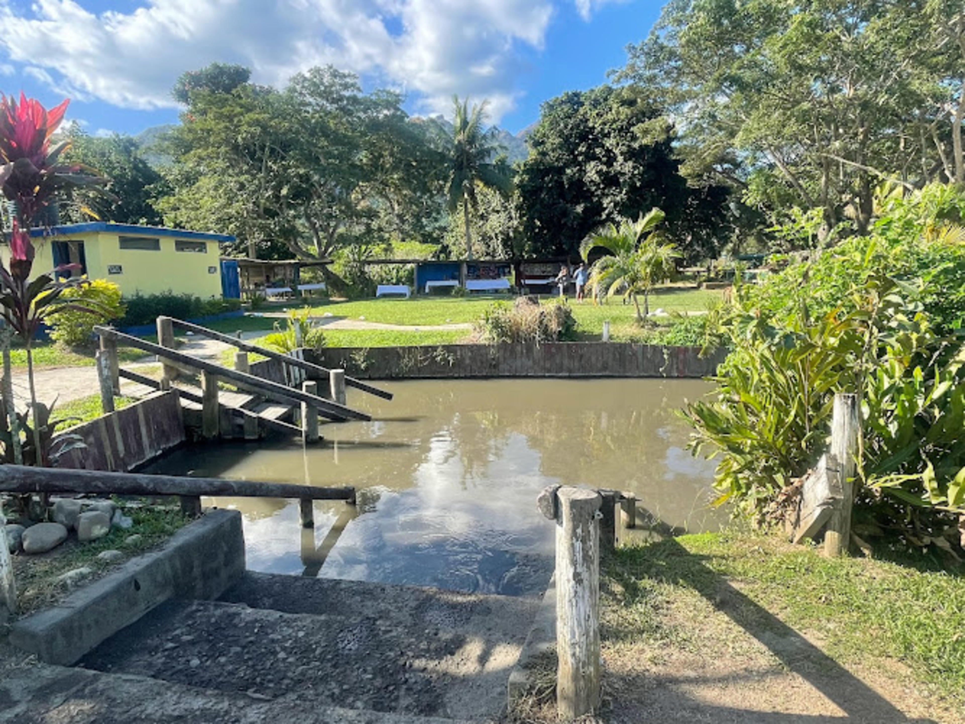 Sabeto Hot Spring Mud Pool and Tours