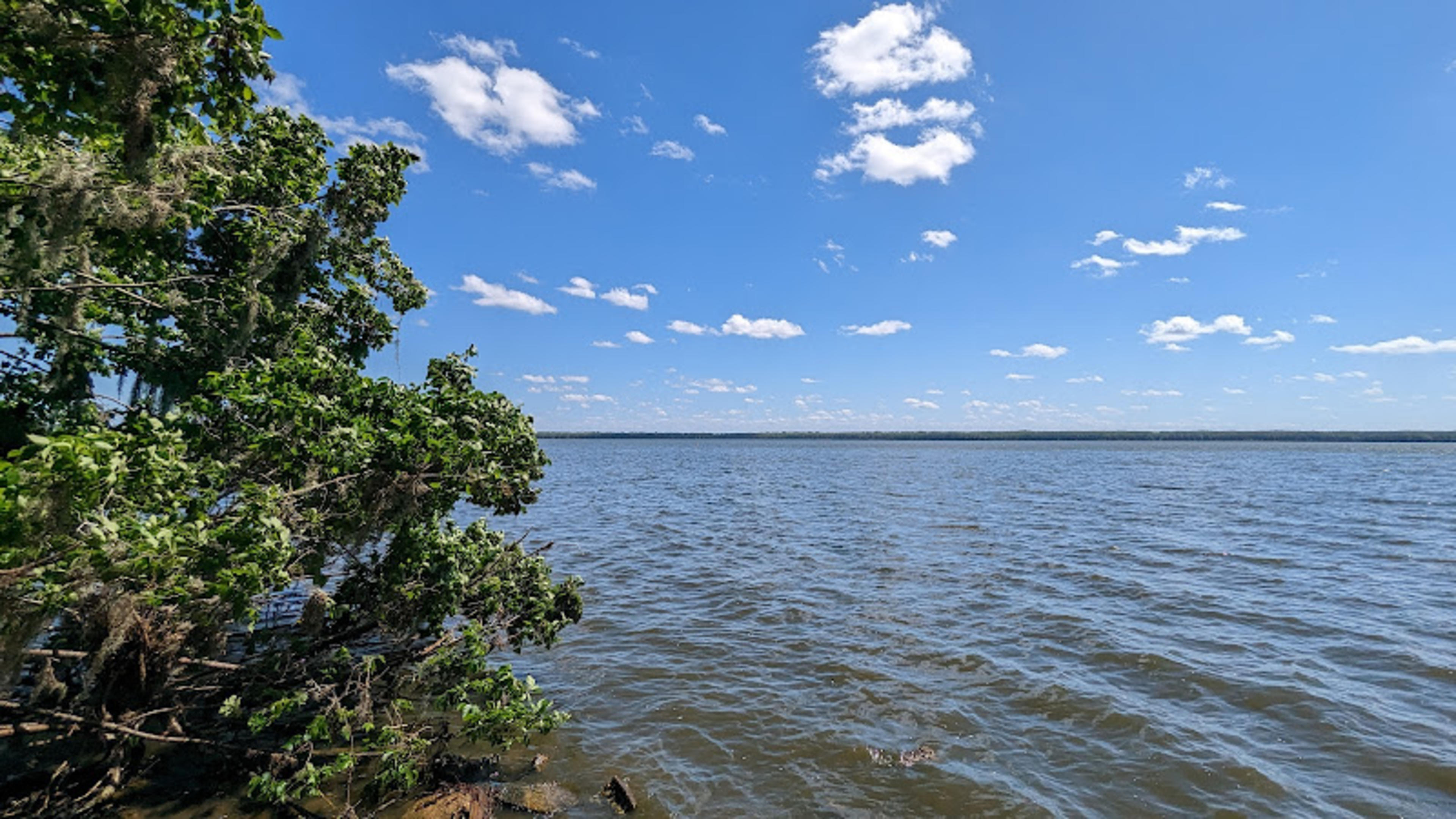Palm Point Park