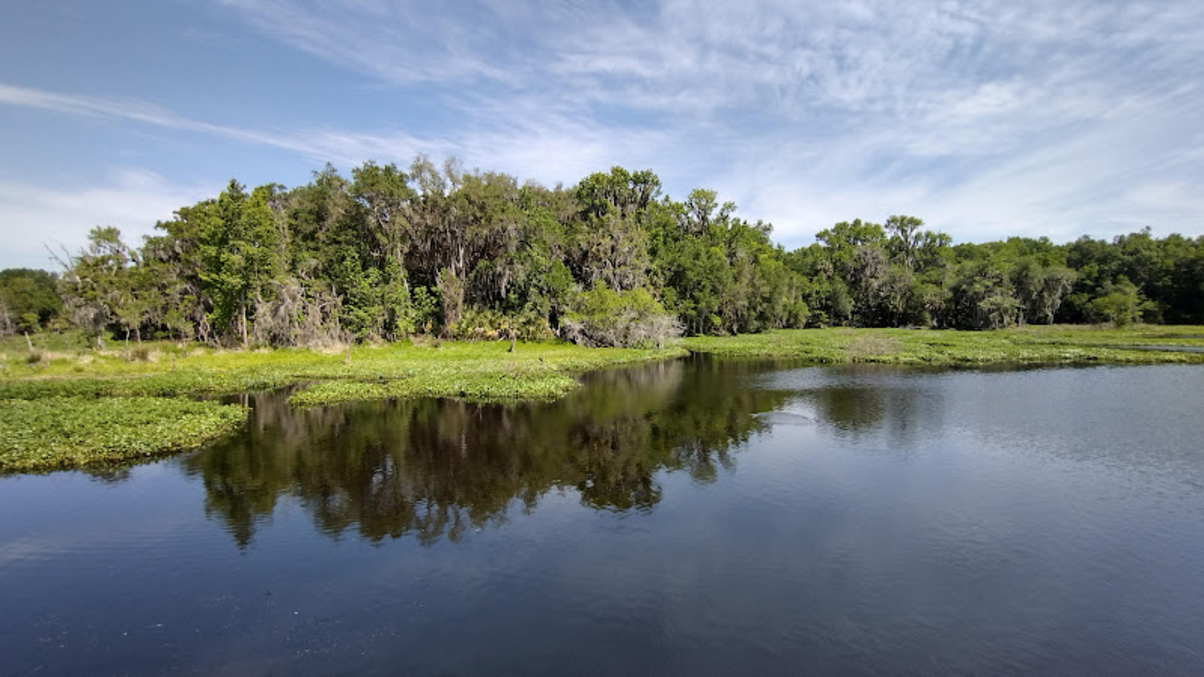Paynes Prairie Preserve State Park