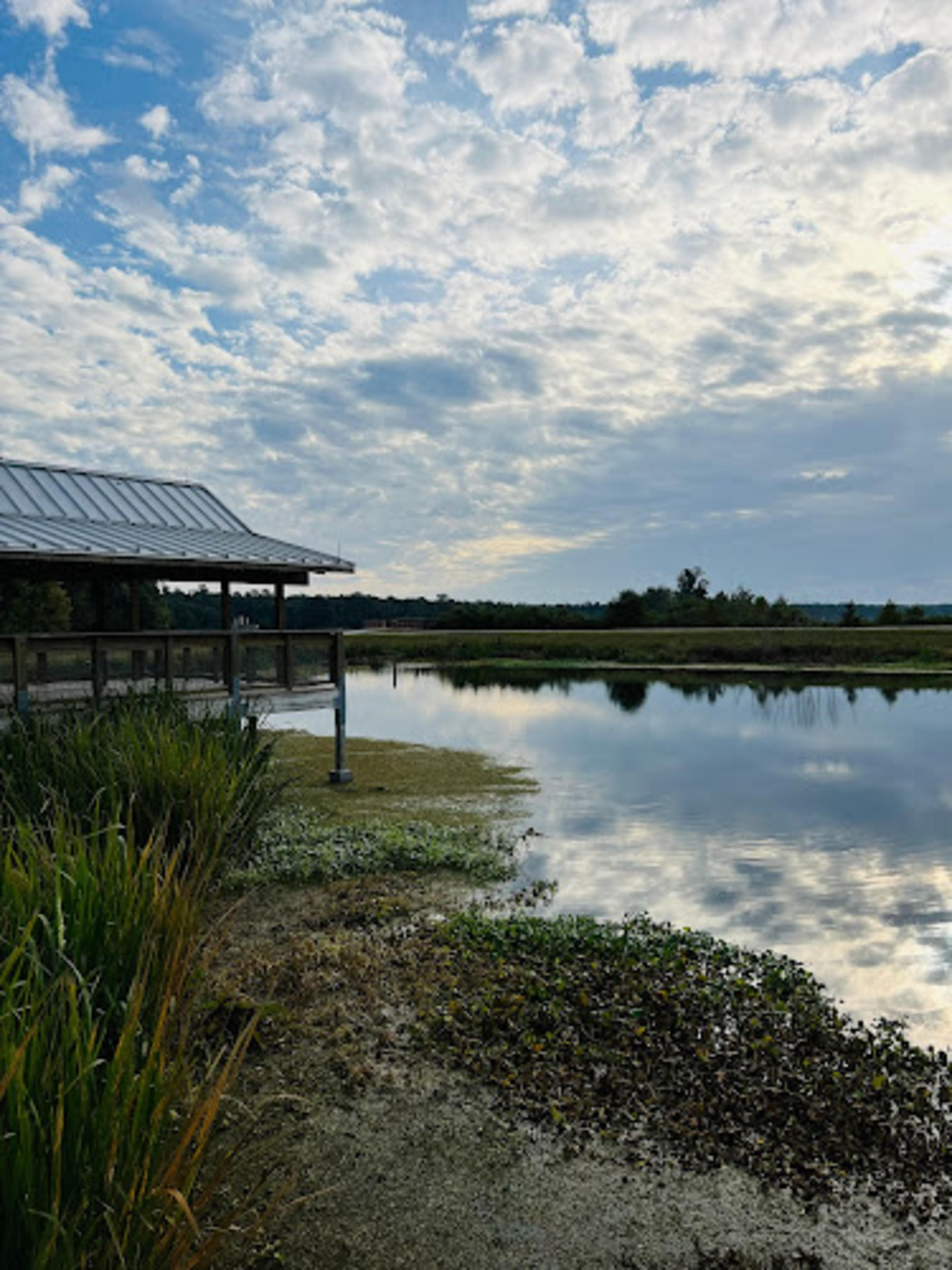 Sweetwater Wetlands Park