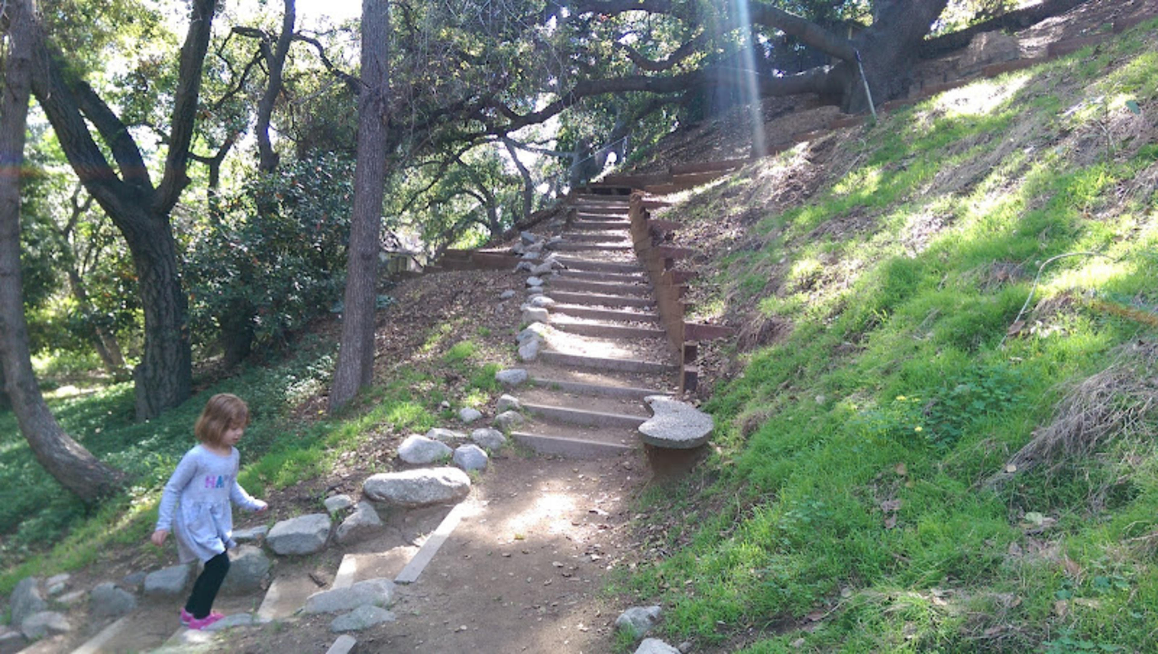 Catalina Verdugo Adobe