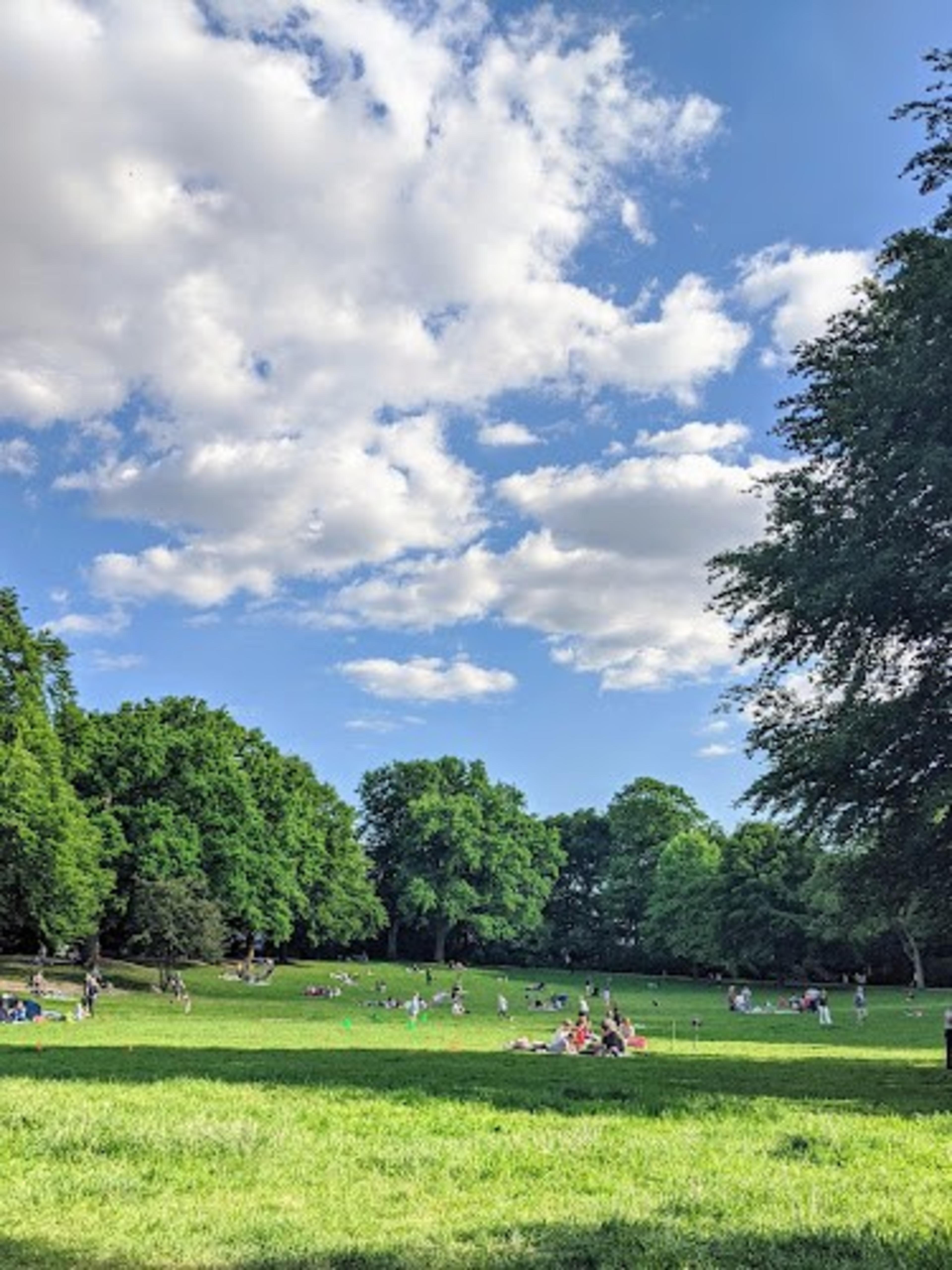 Innocentia Park