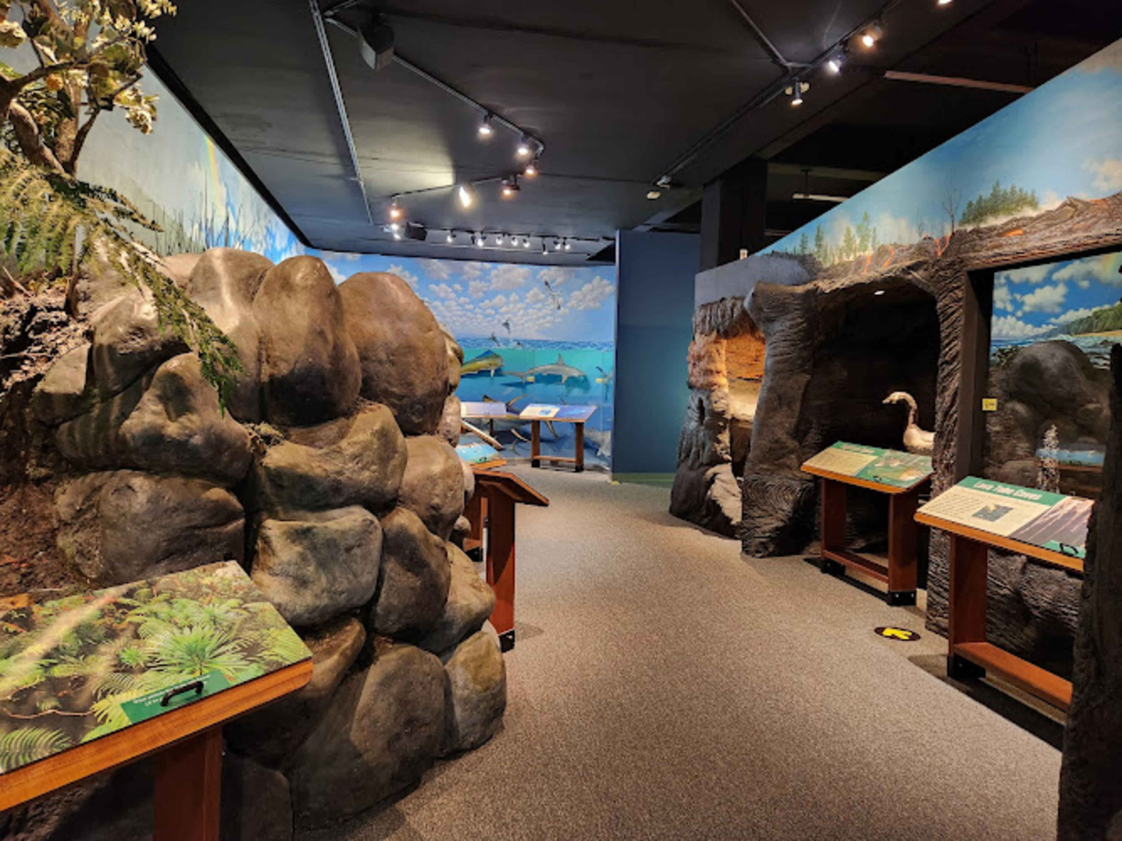 Lyman Museum