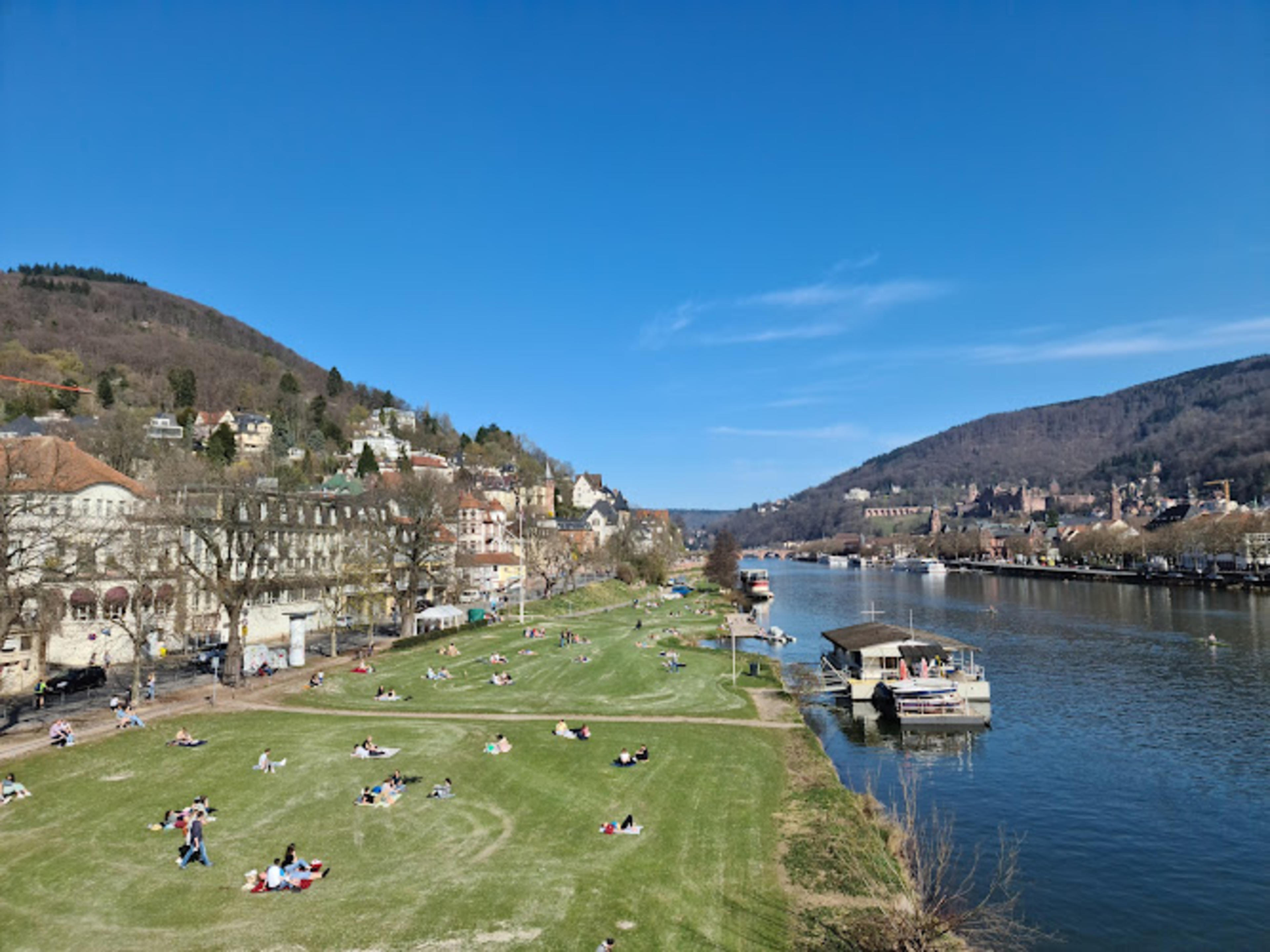 Neckarwiese