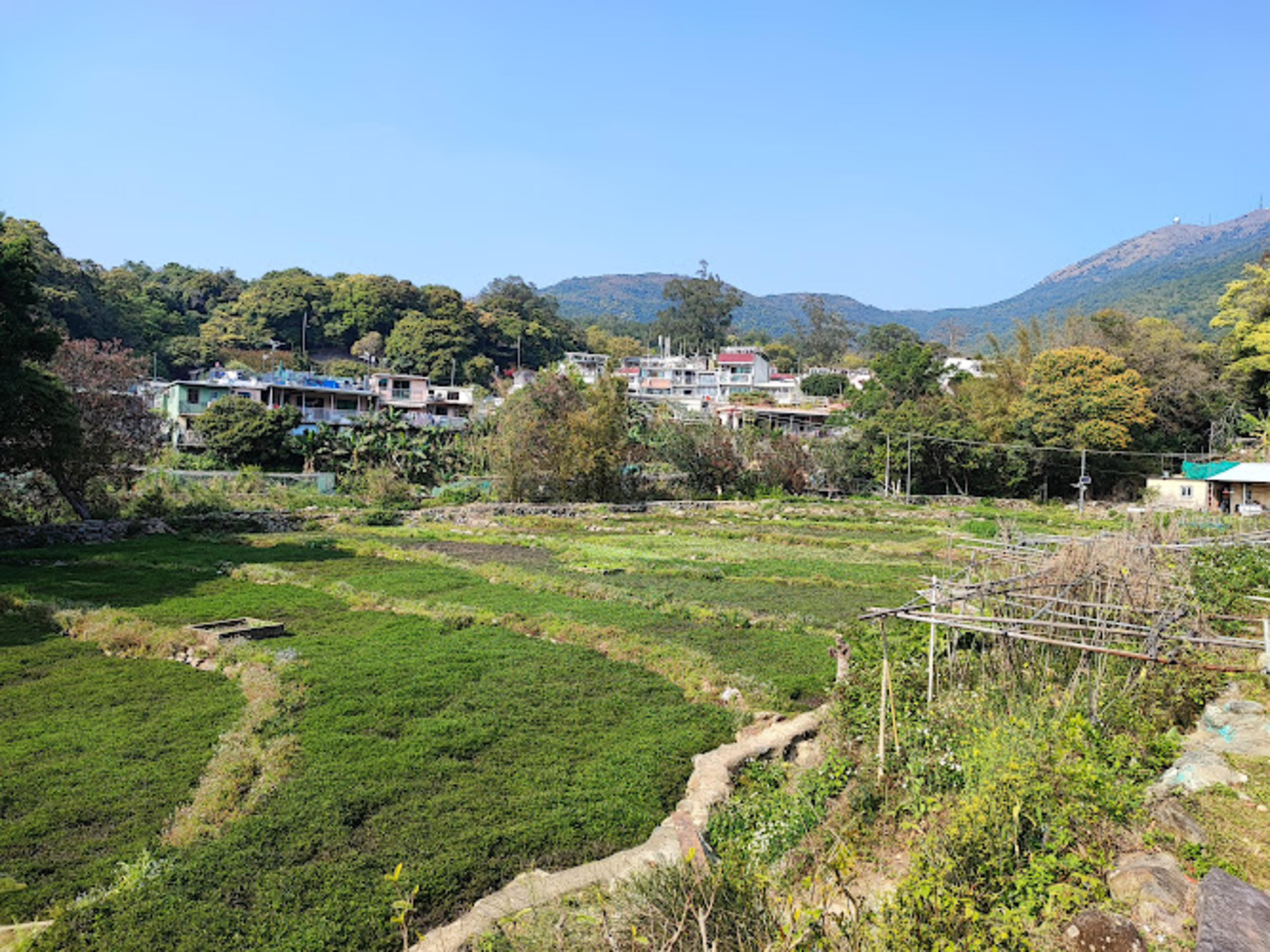 Tai Mo Shan Country Park