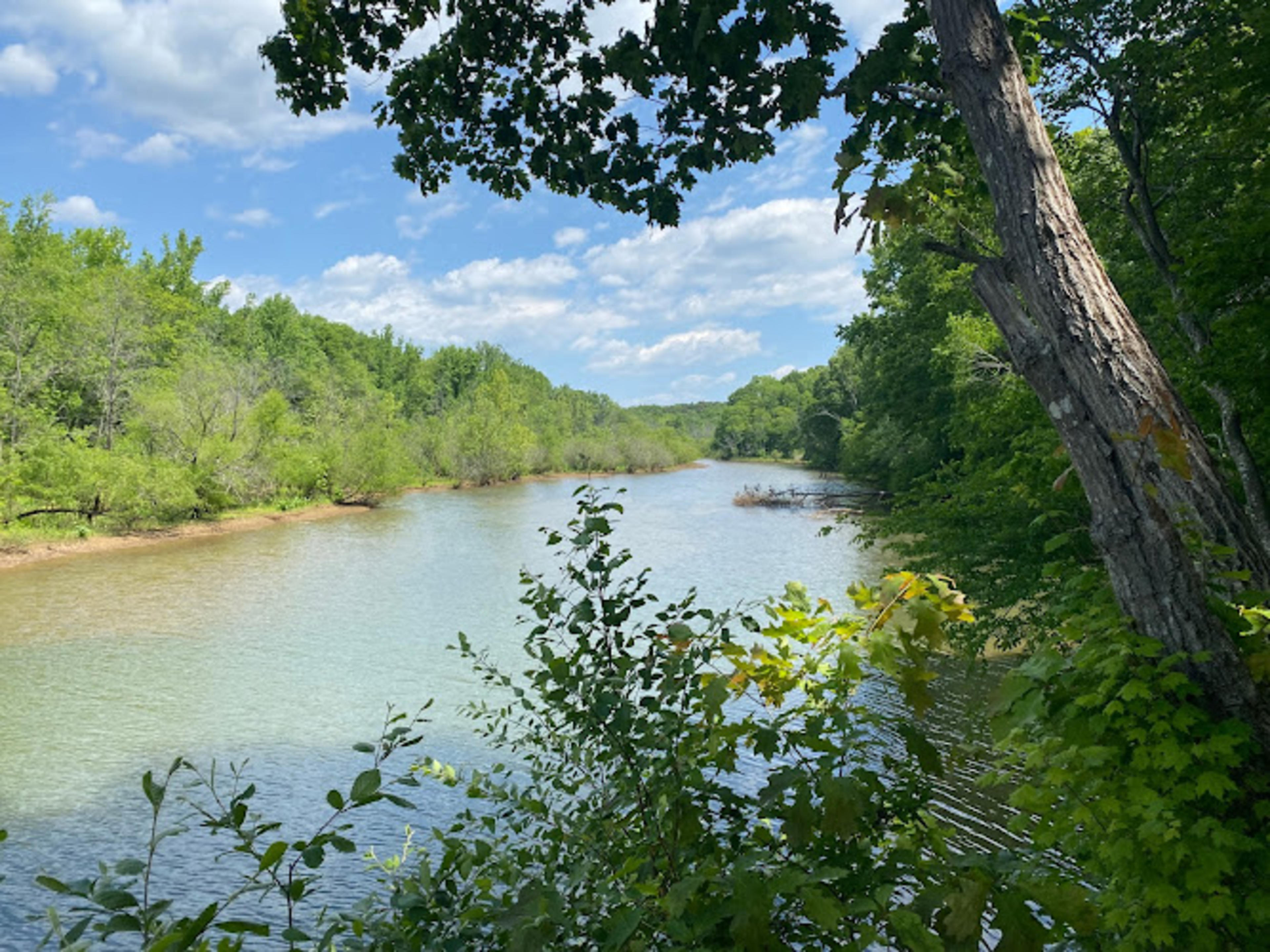 Buckeye Cove Nature Preserve