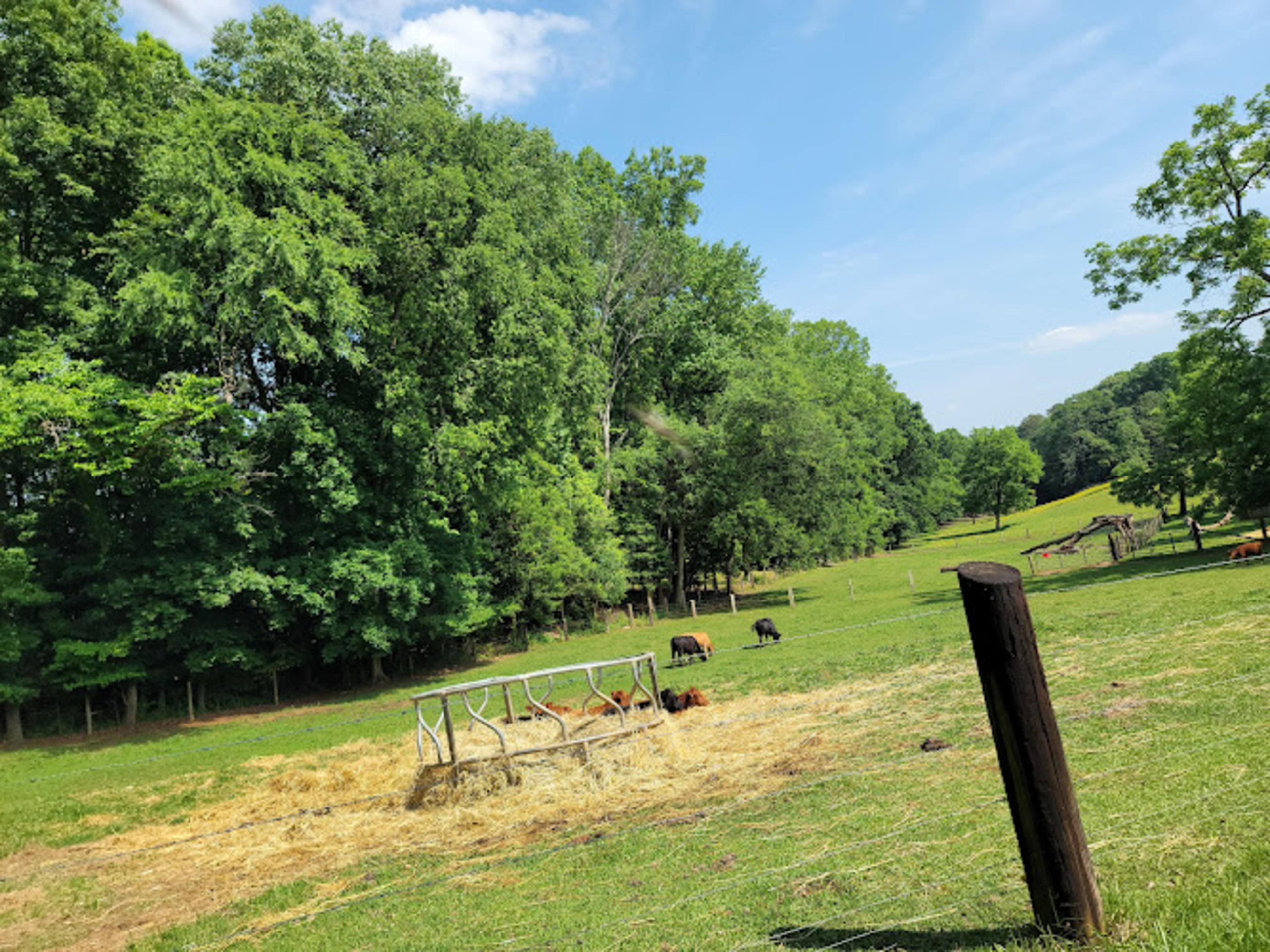 Cowans Ford Wildlife Refuge