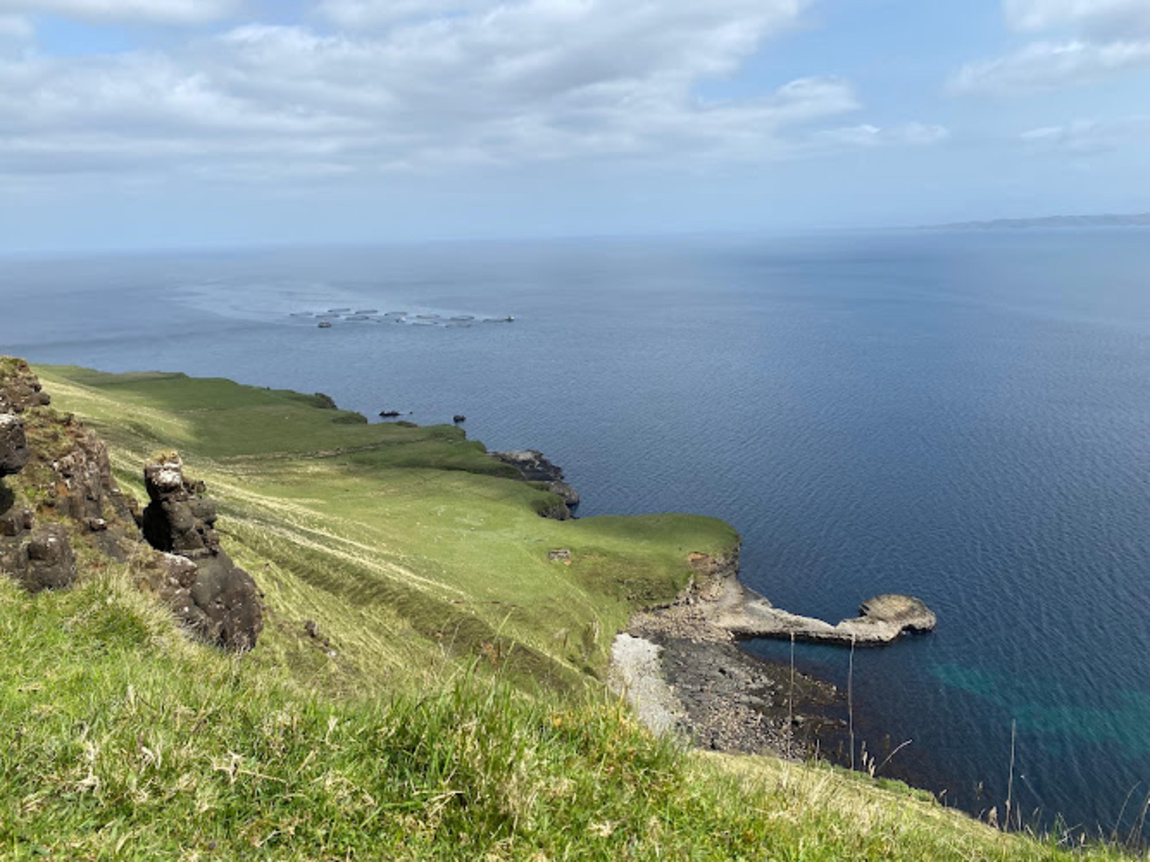 Rigg Viewpoint