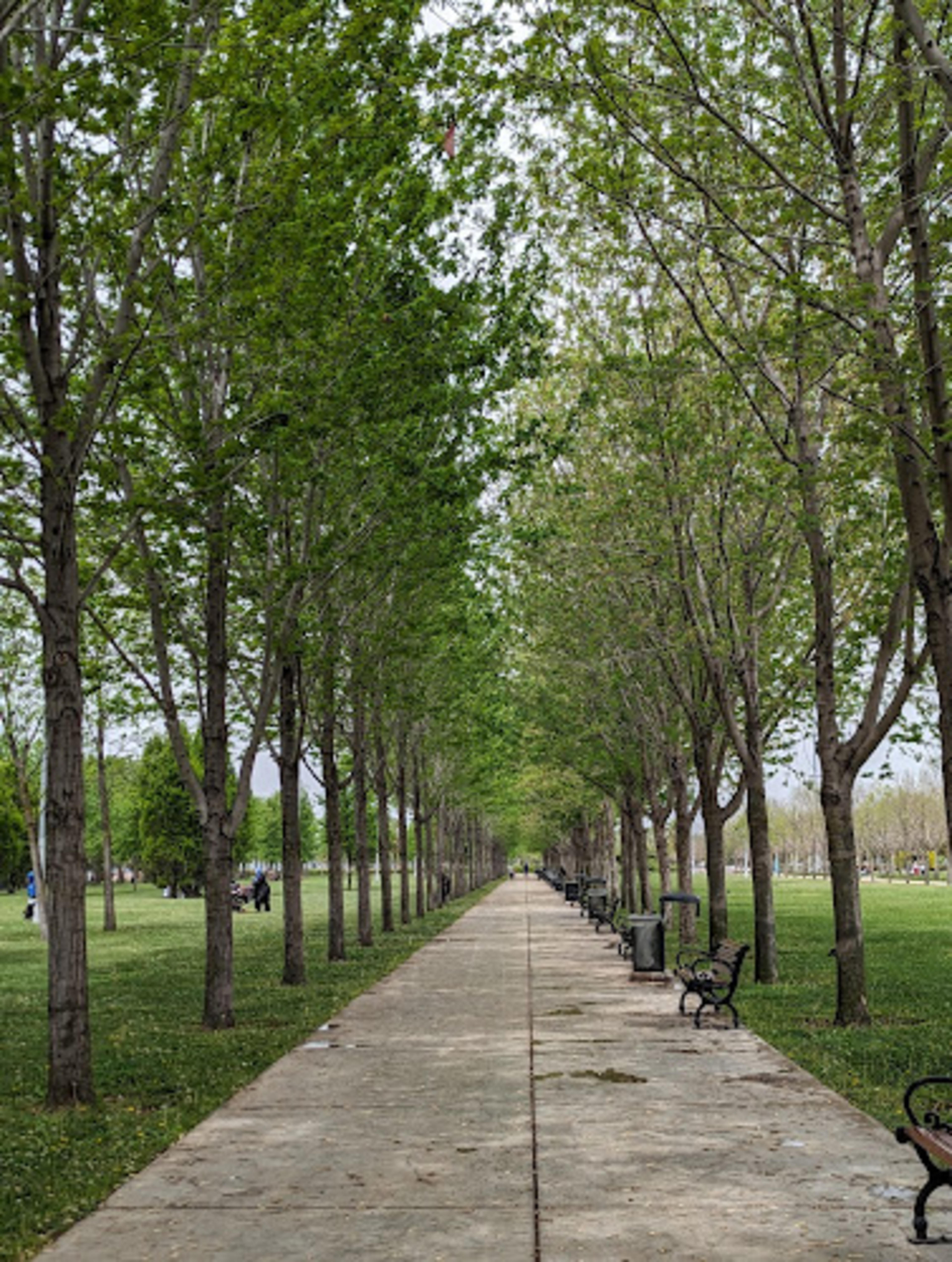 Maltepe beach park