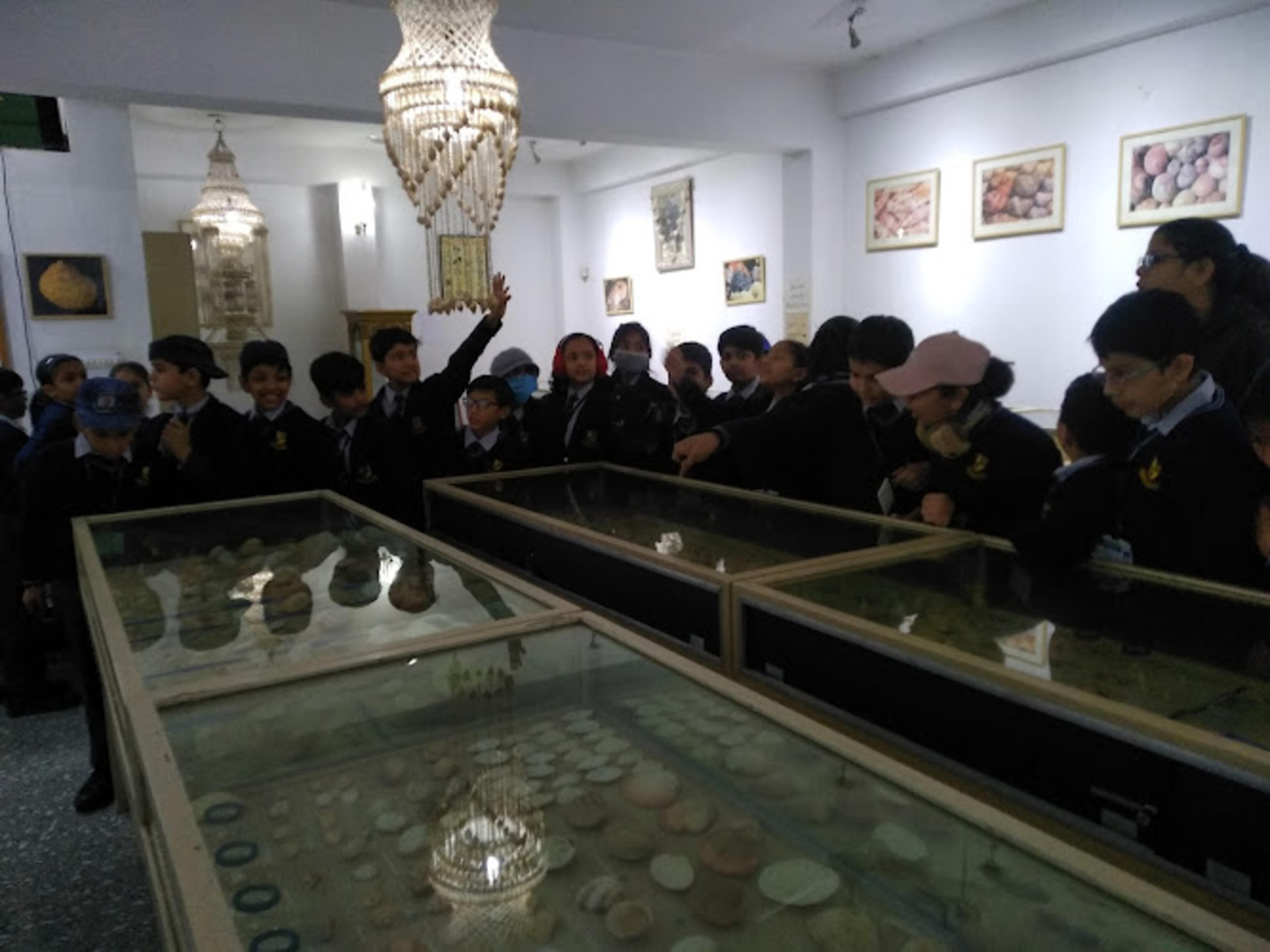 Alice Garg National Seashell Museum Jaipur