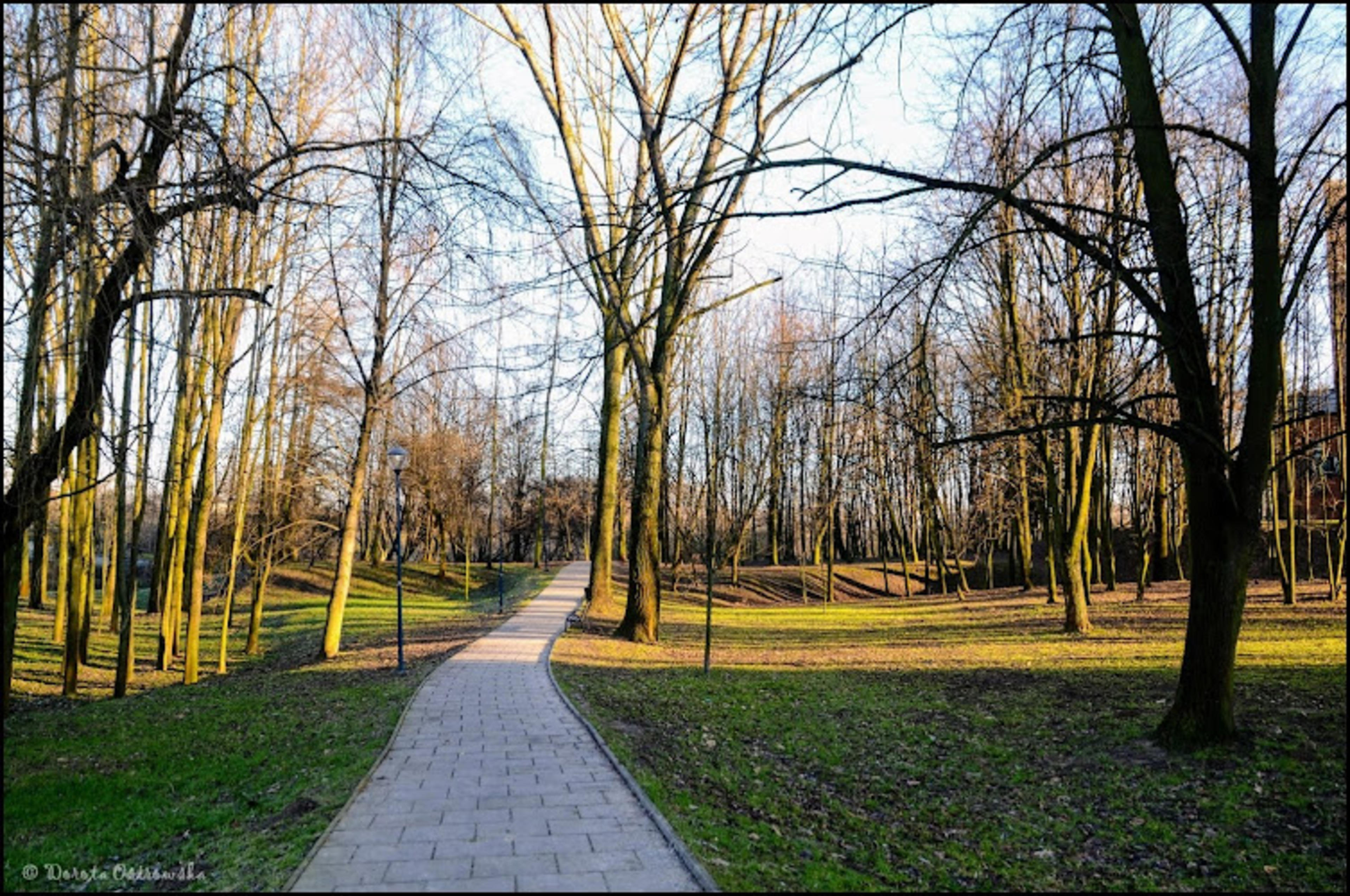 Dąbie Park