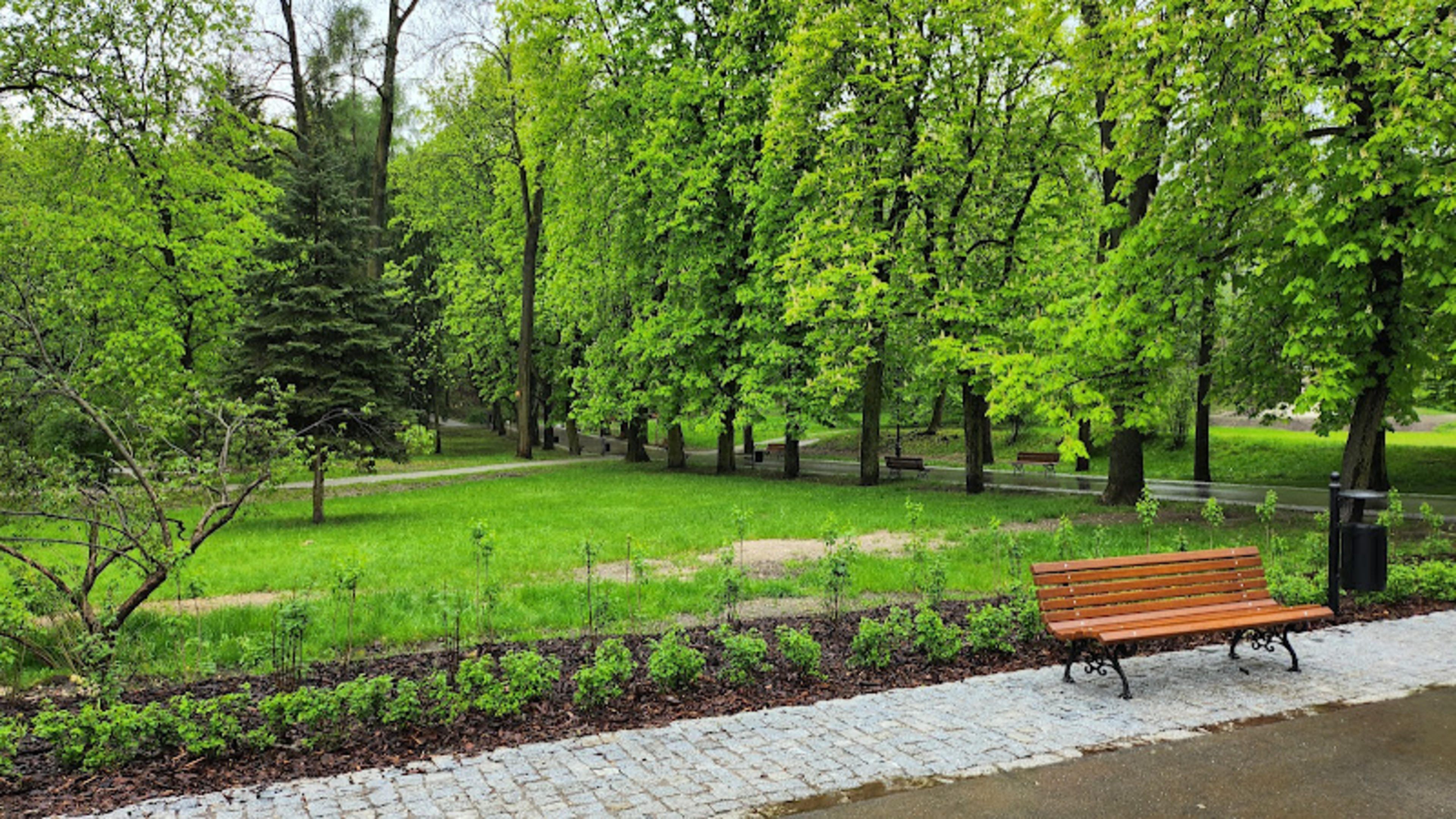 Park im.Wojciecha Bednarskiego w Podgórzu