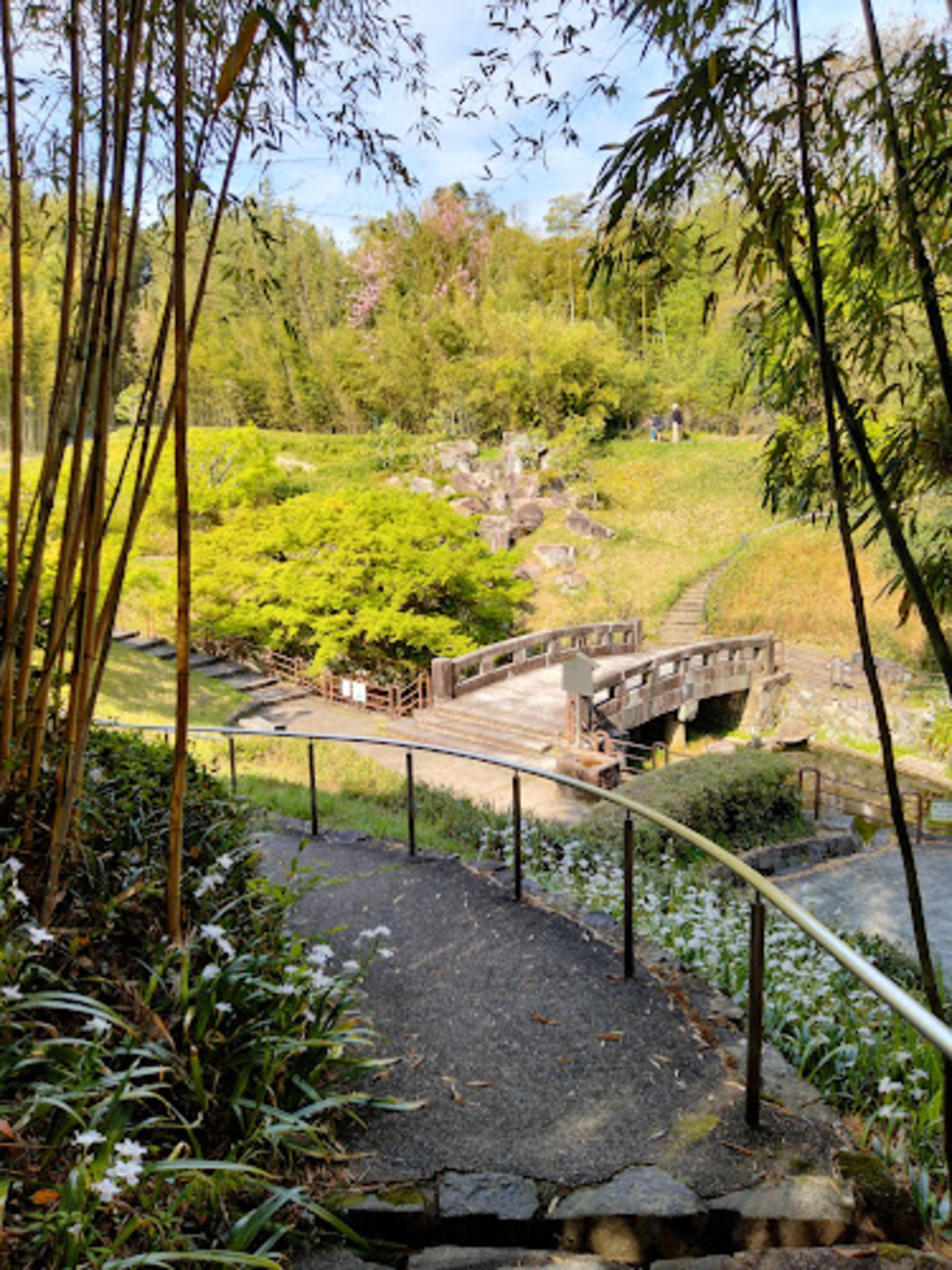Kyoto City Rakusai Bamboo Park