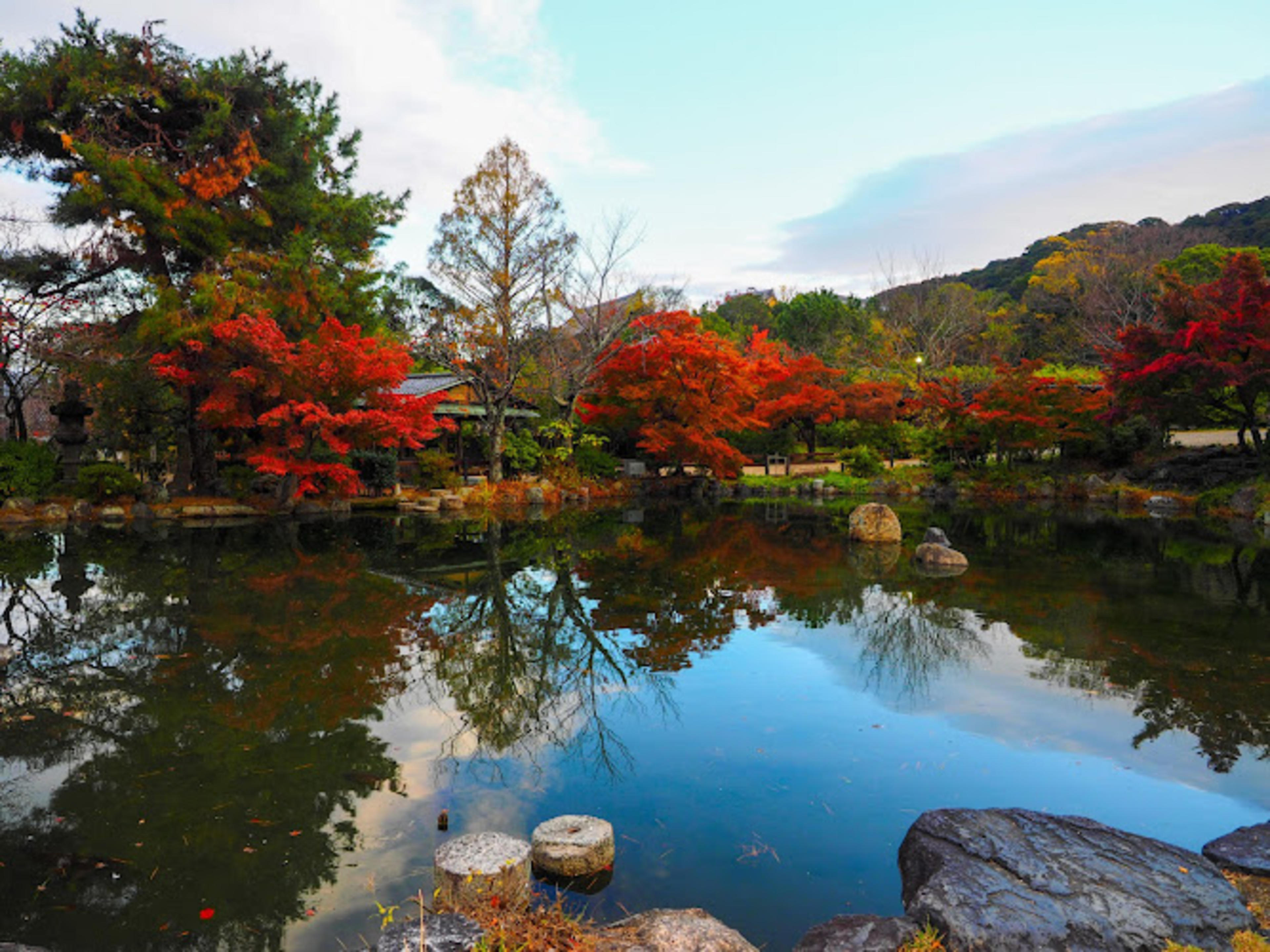 Maruyama Park Japanese Gardens