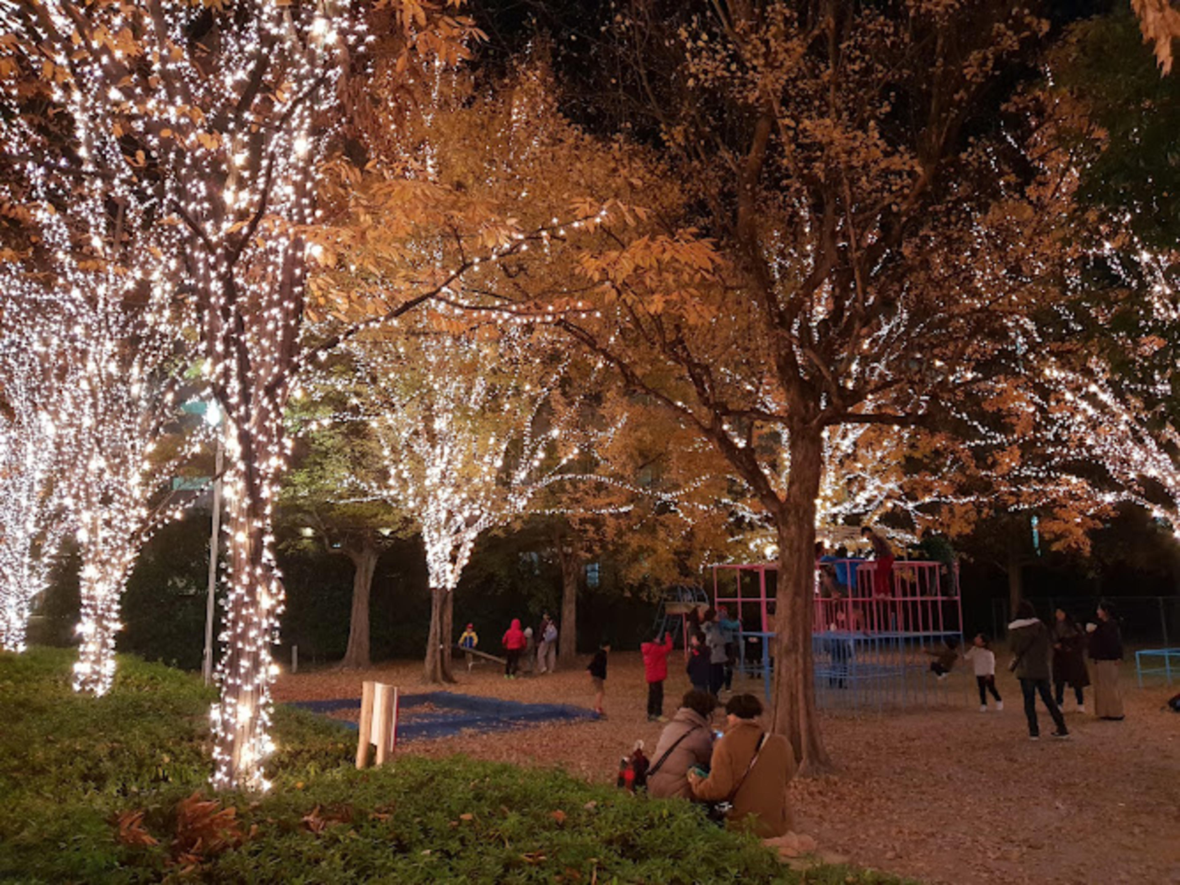 Nagura Park
