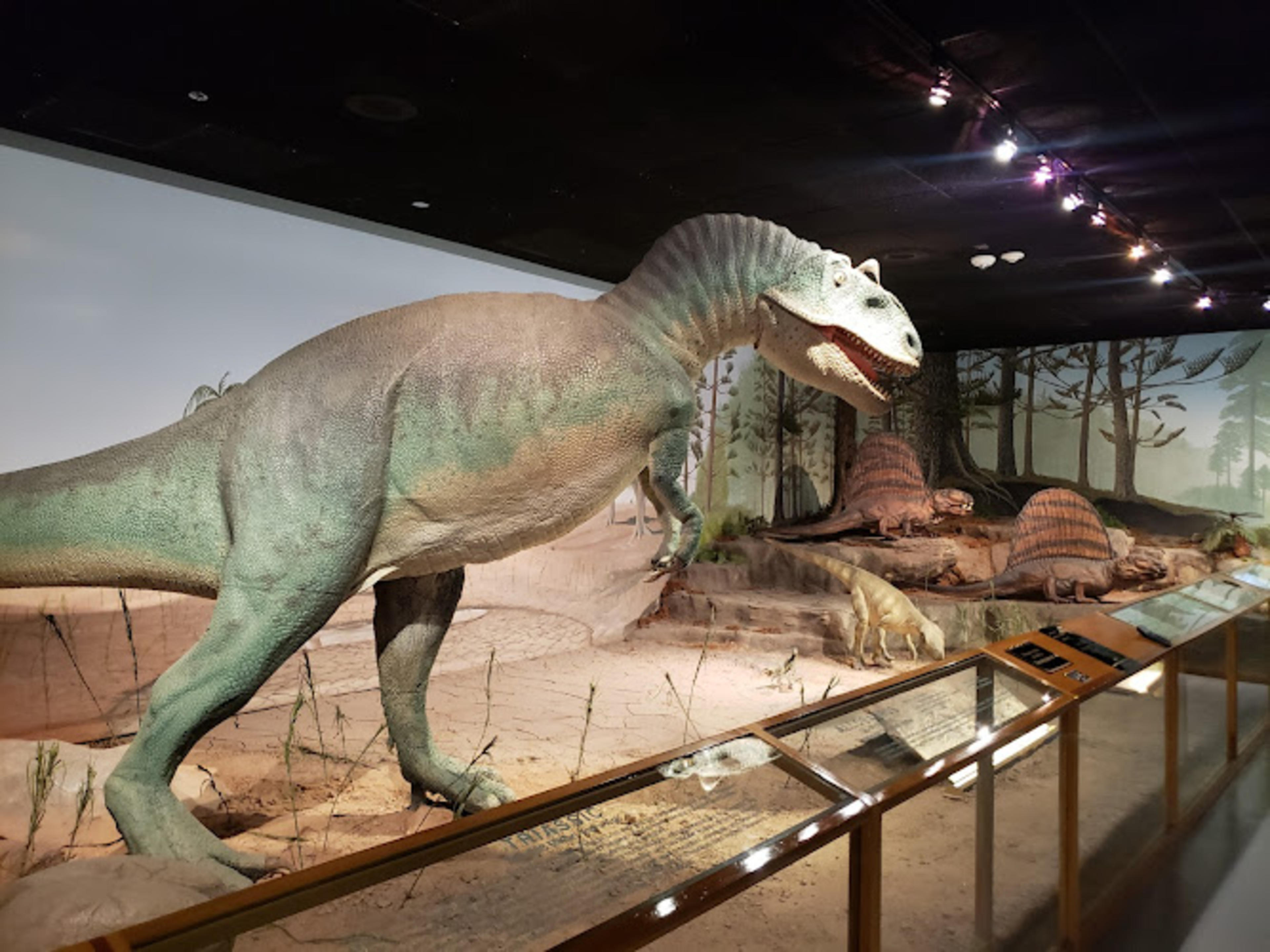 Las Vegas Natural History Museum