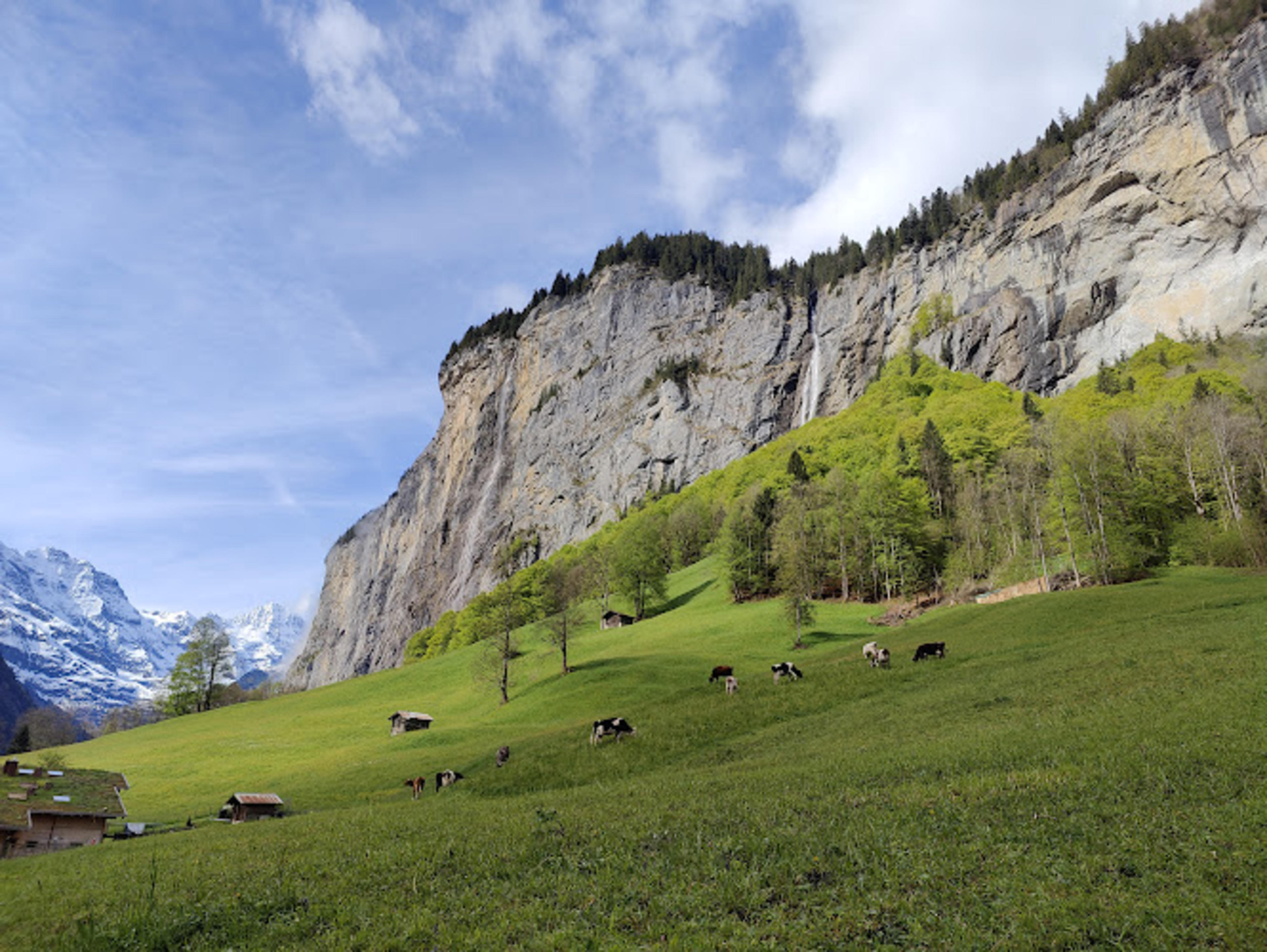 Spissbachfall