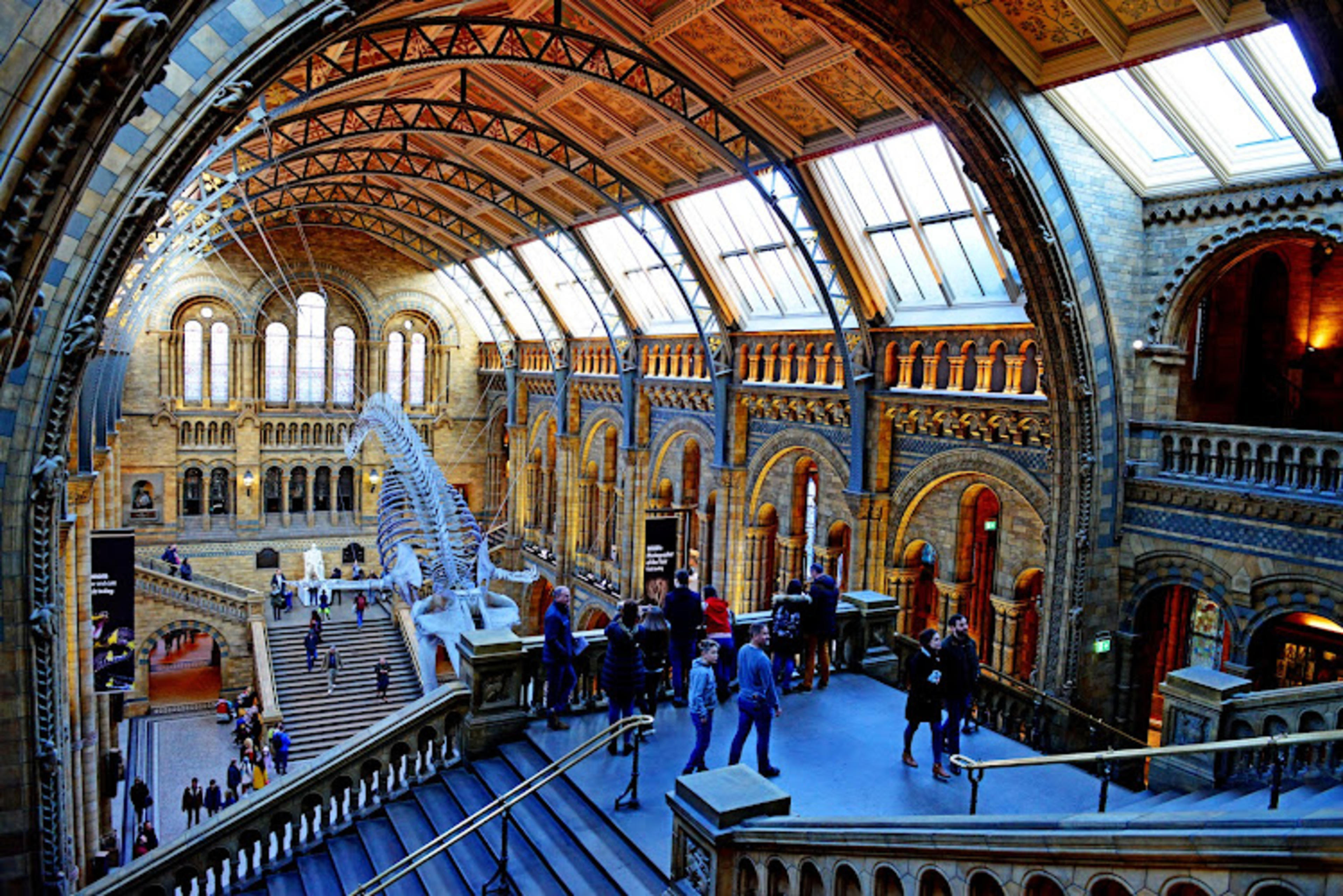 Natural History Museum