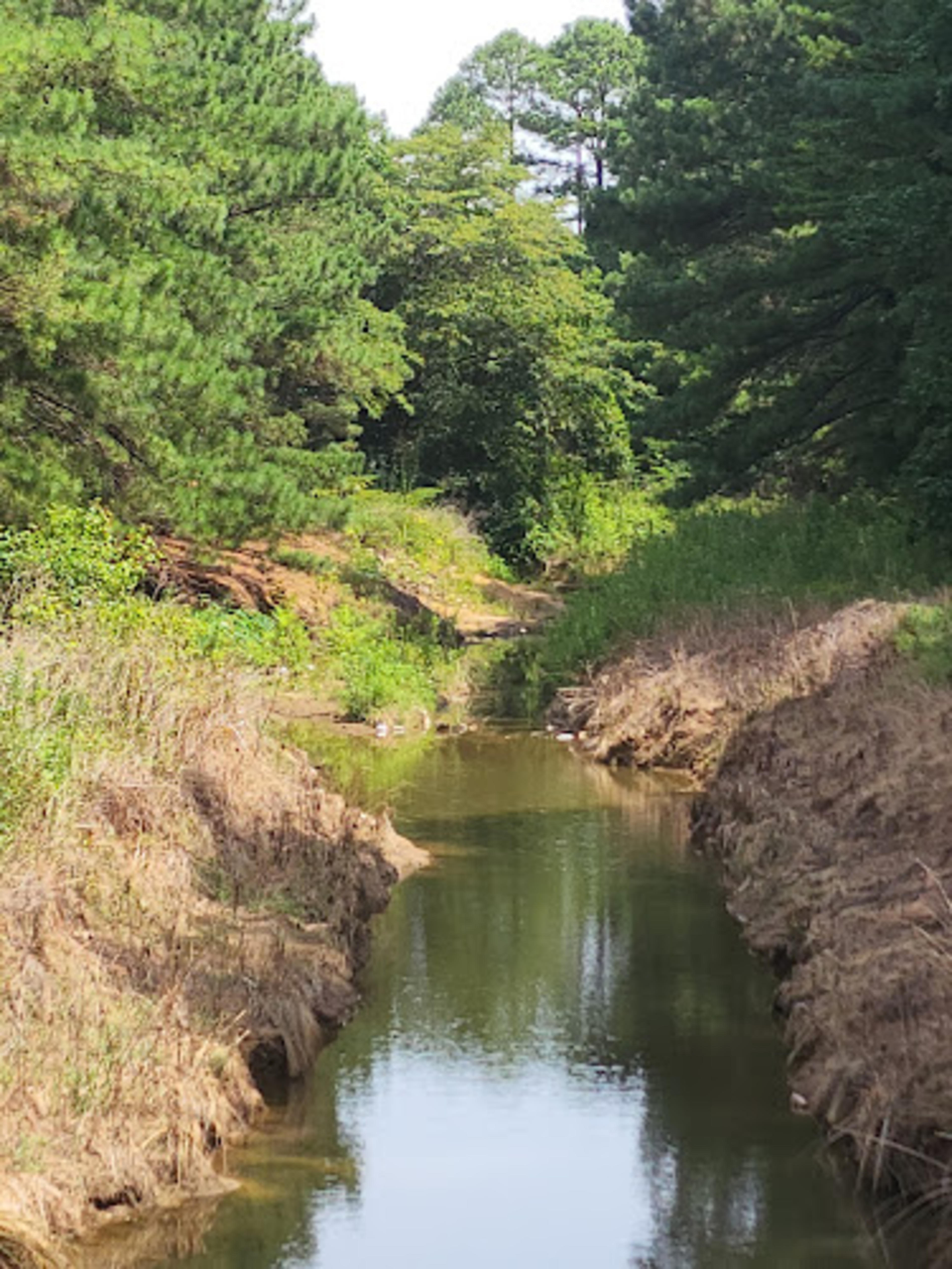 Cargill Long Park