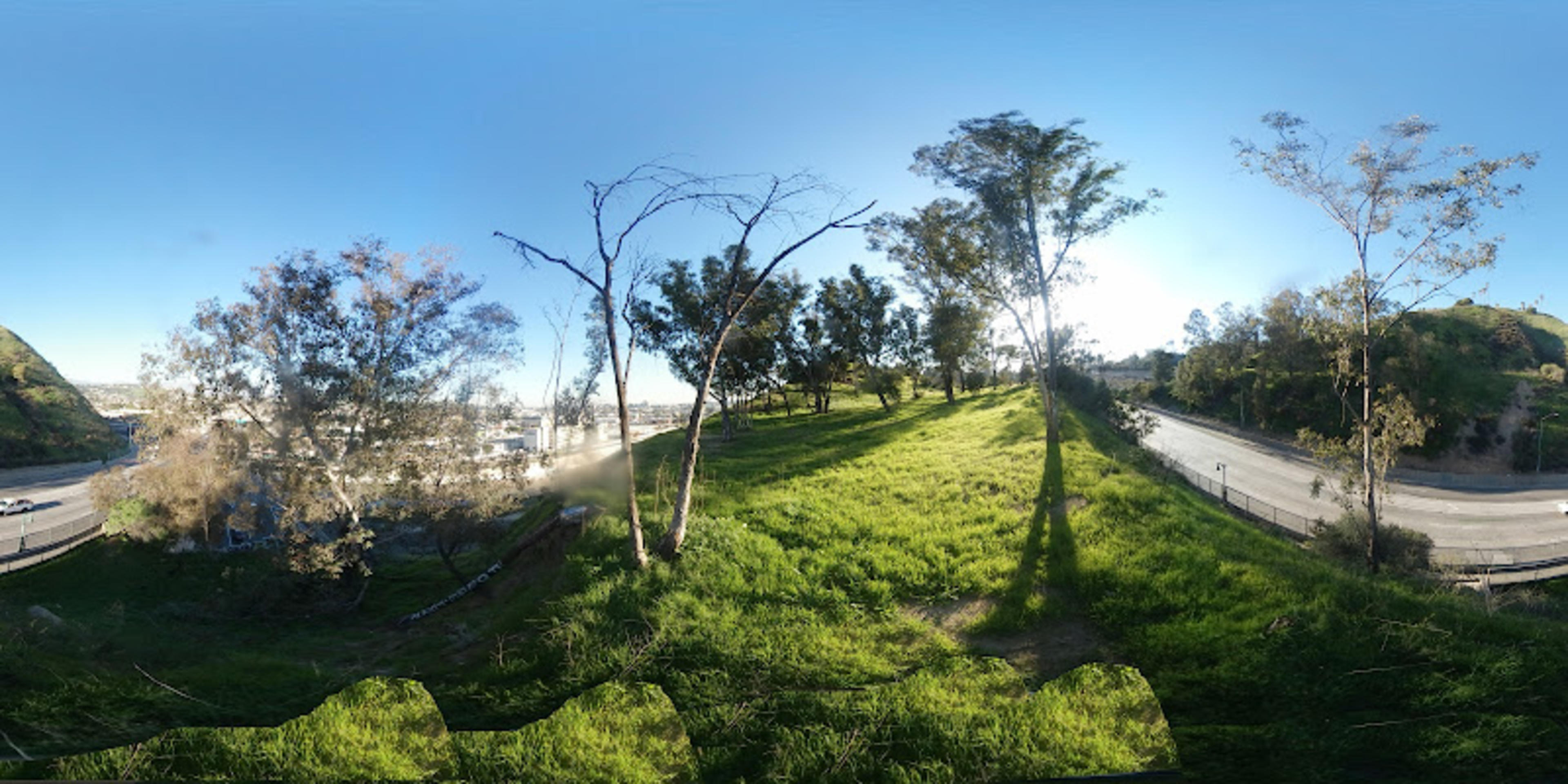 Elysian Park, Buena Vista Meadow