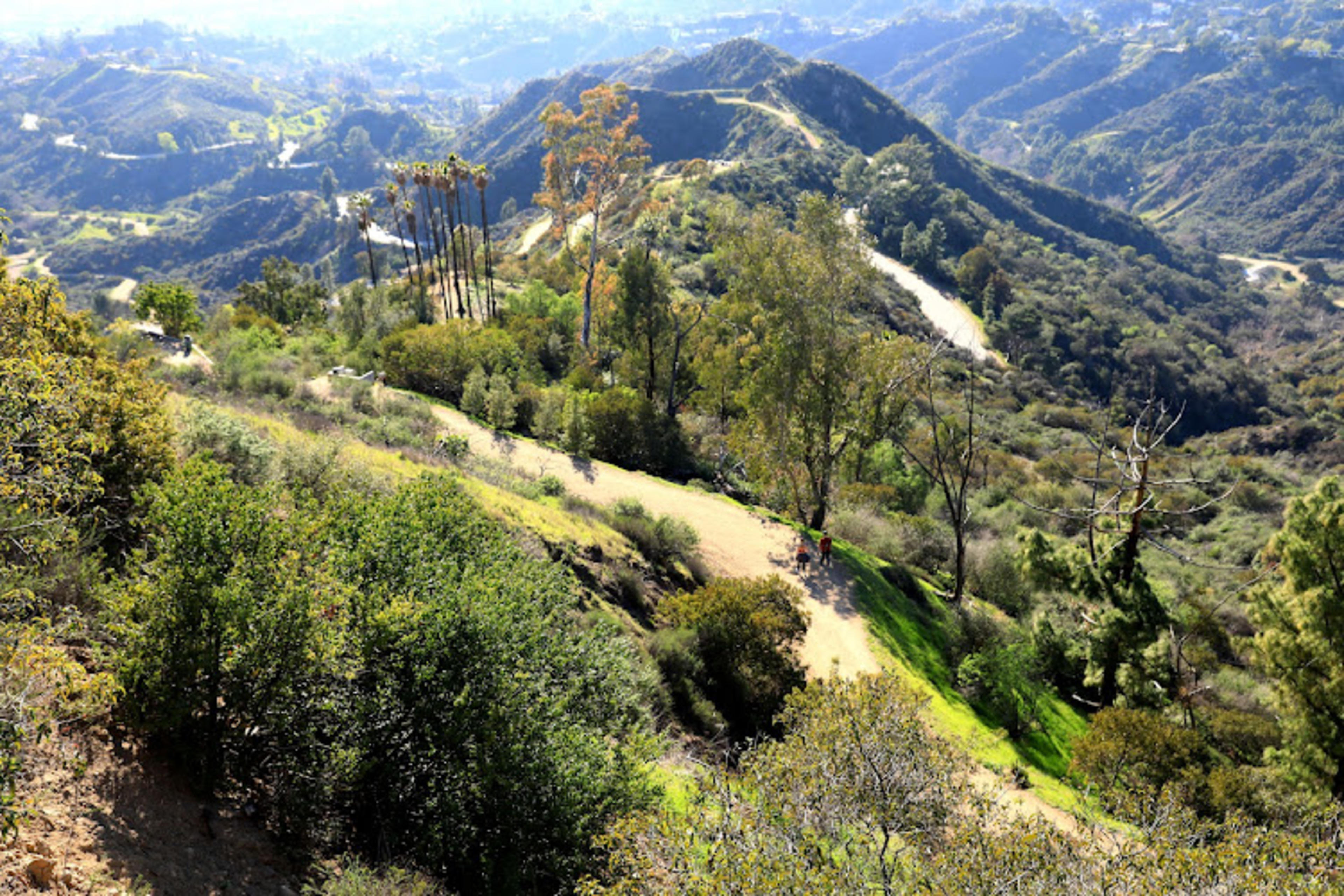 Hollywood Peak