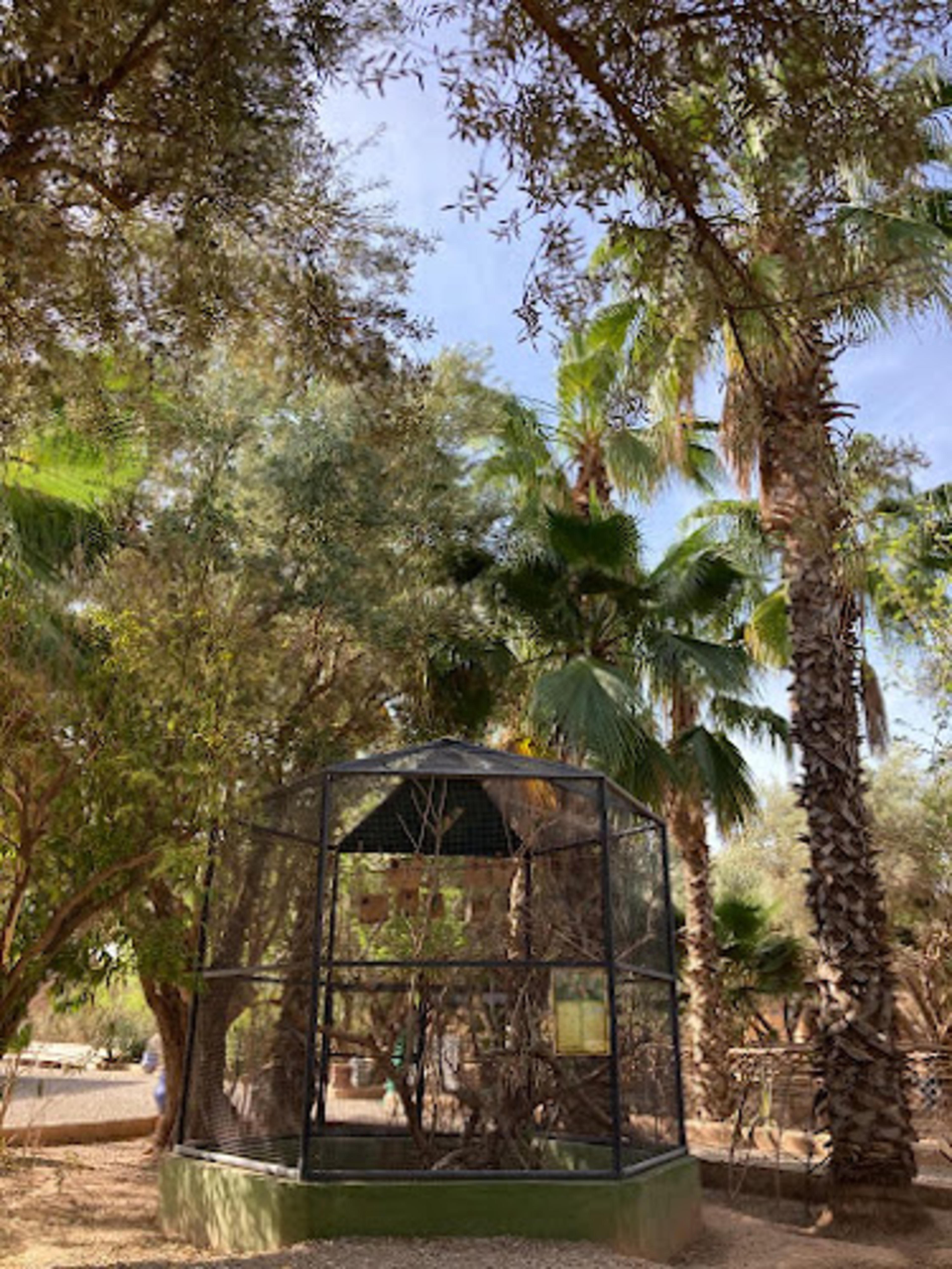 La perle aux oiseaux