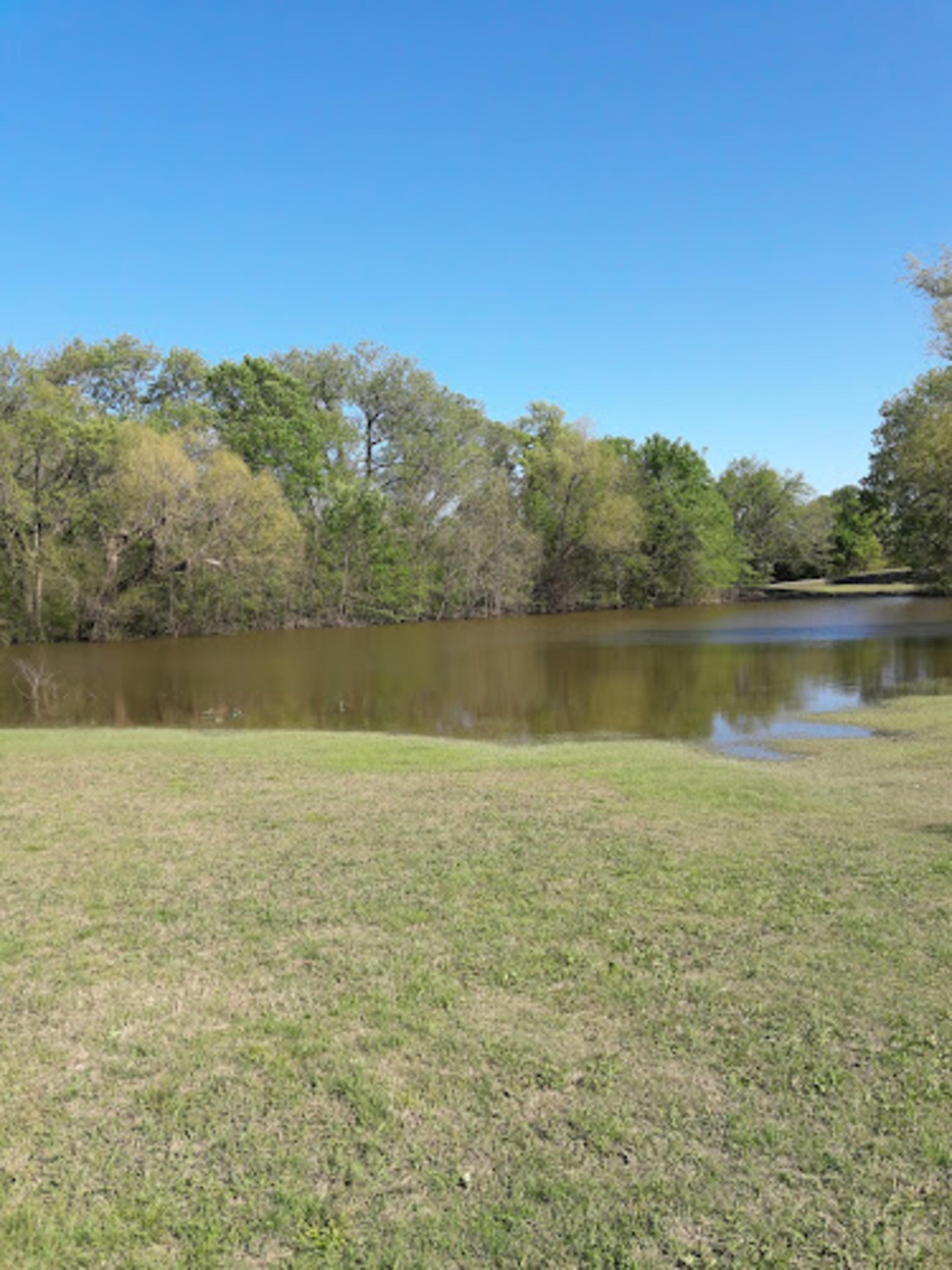 Erwin Park