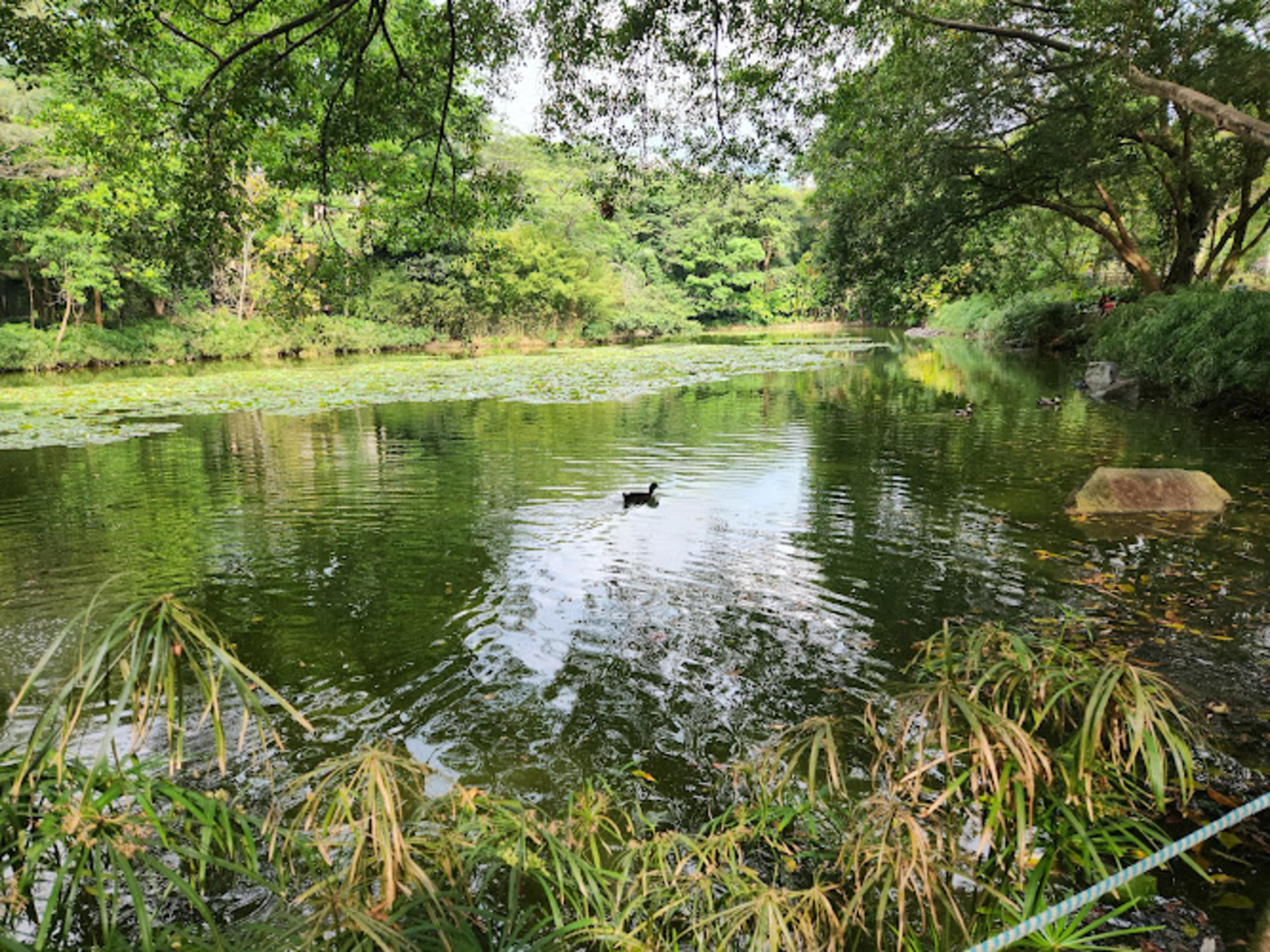 Jardín Botánico de Medellín