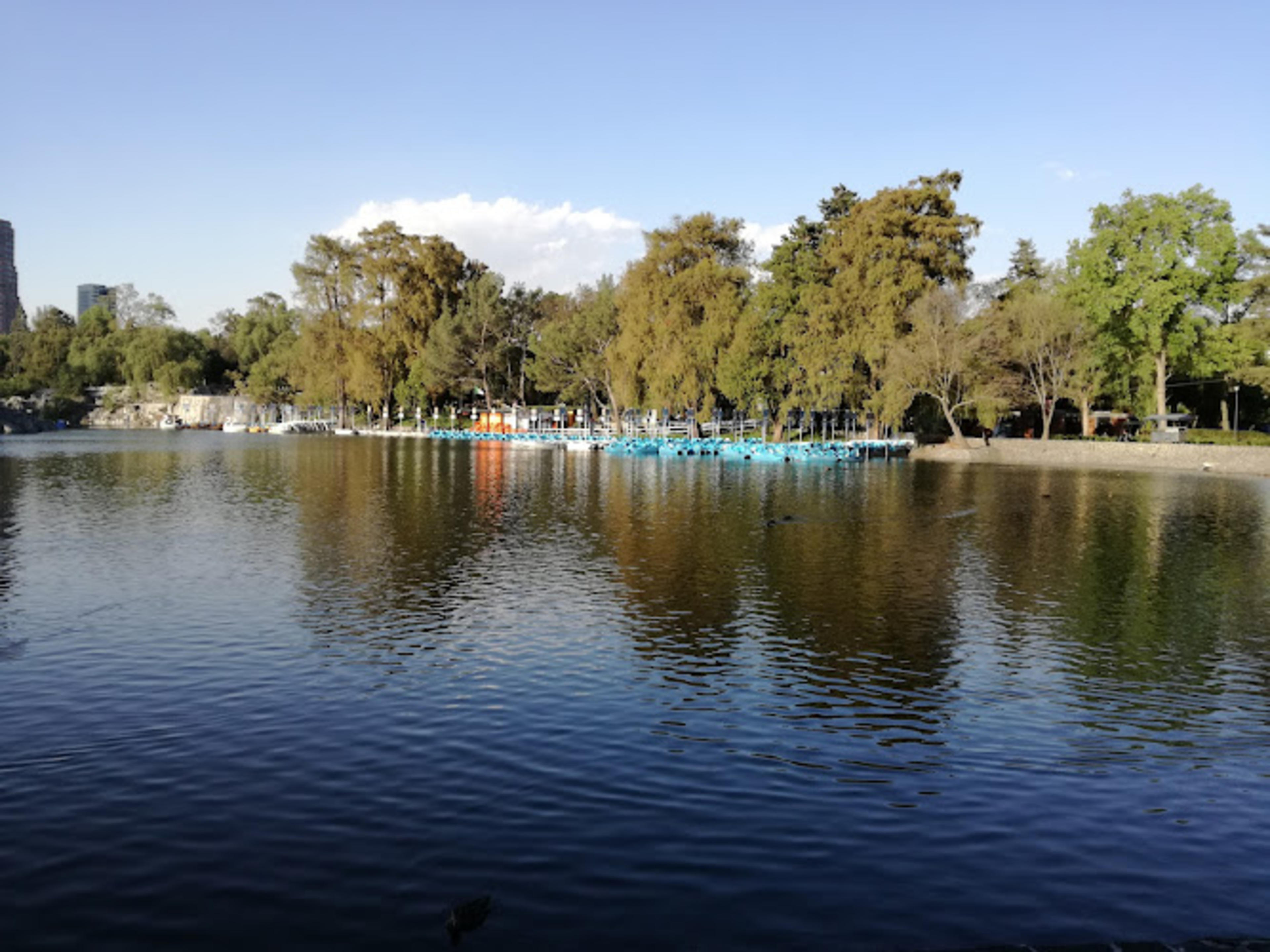 Bosque de Chapultepec I Secc