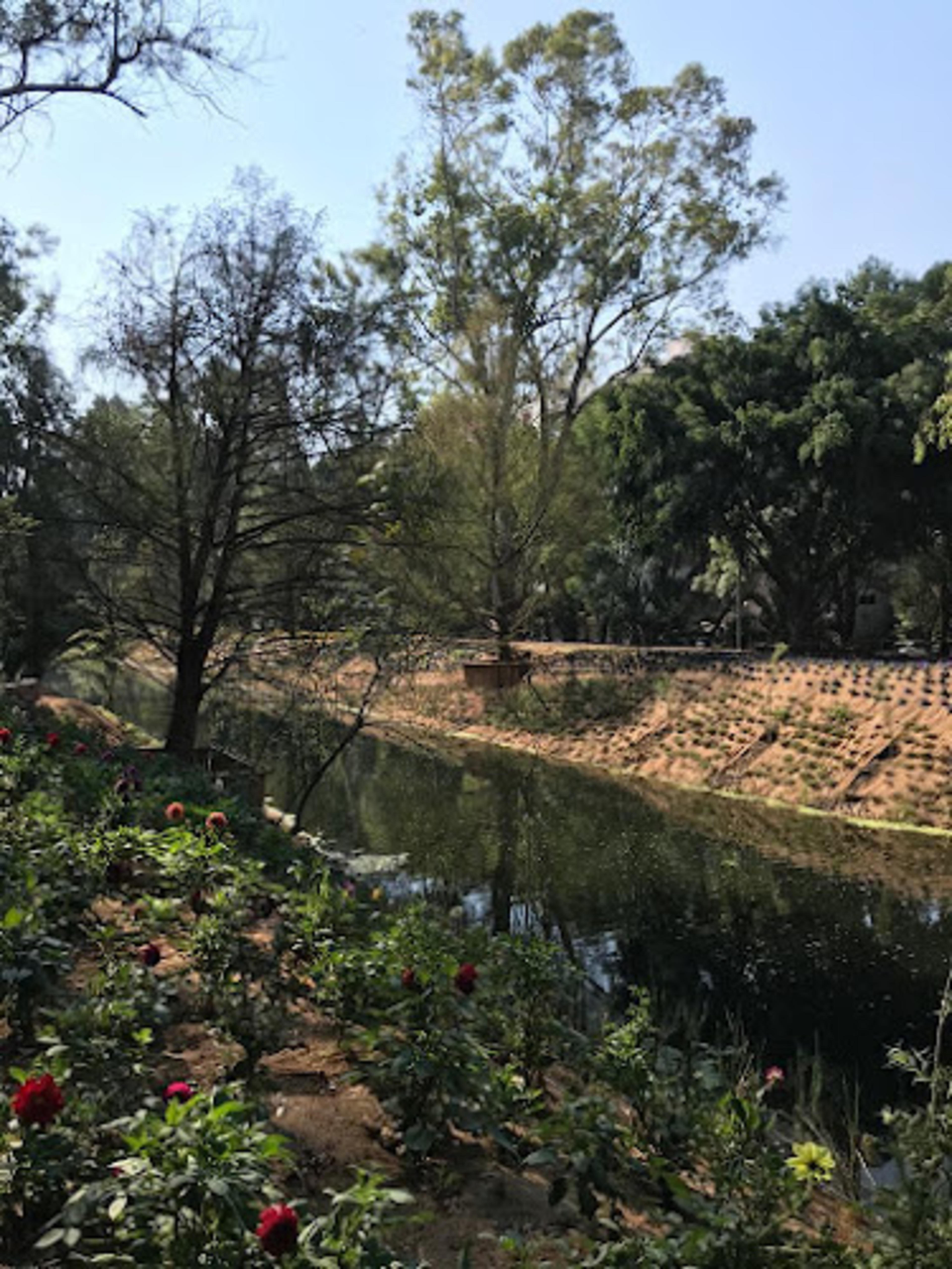 Duck Park