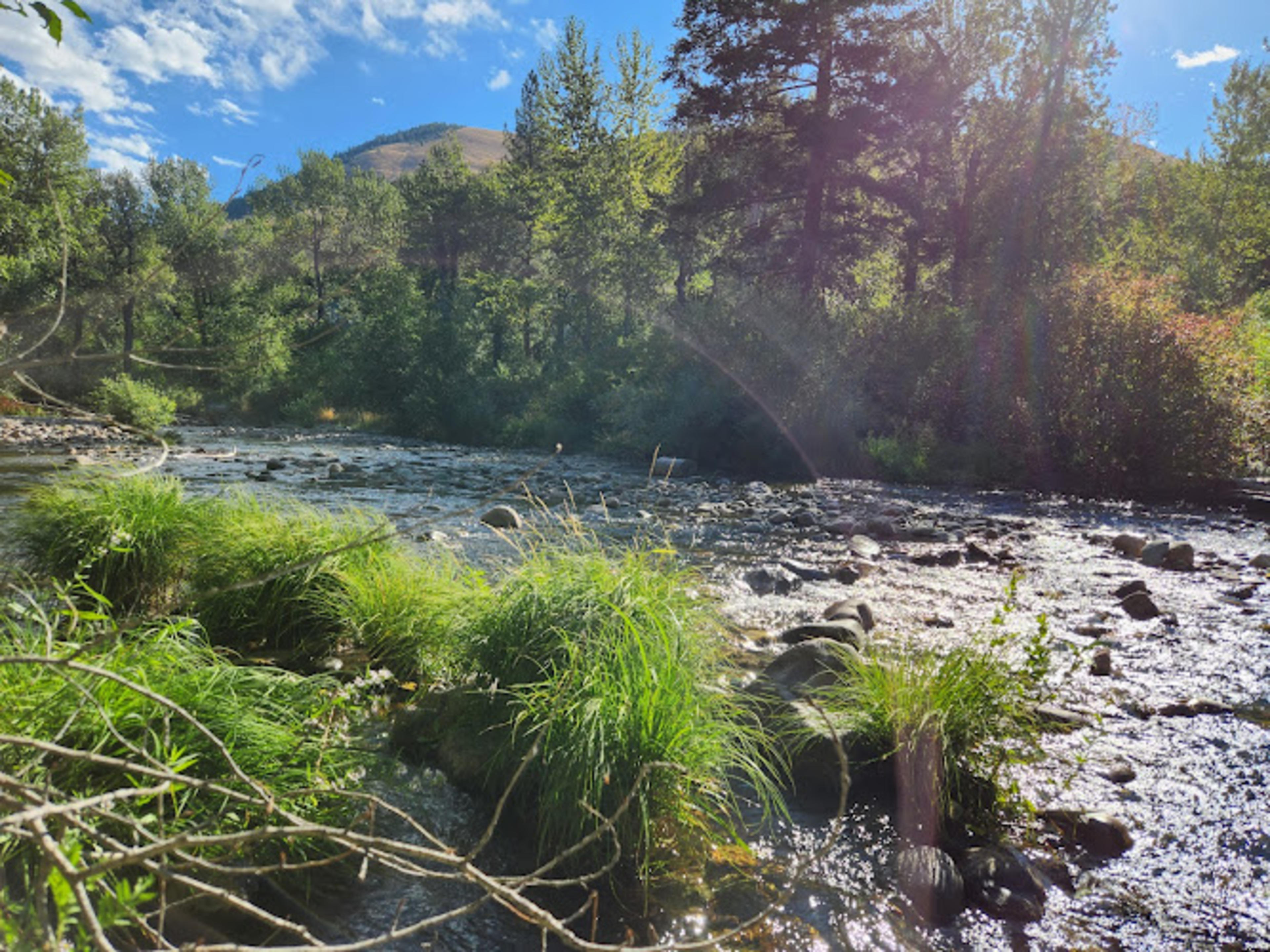Greenough Park