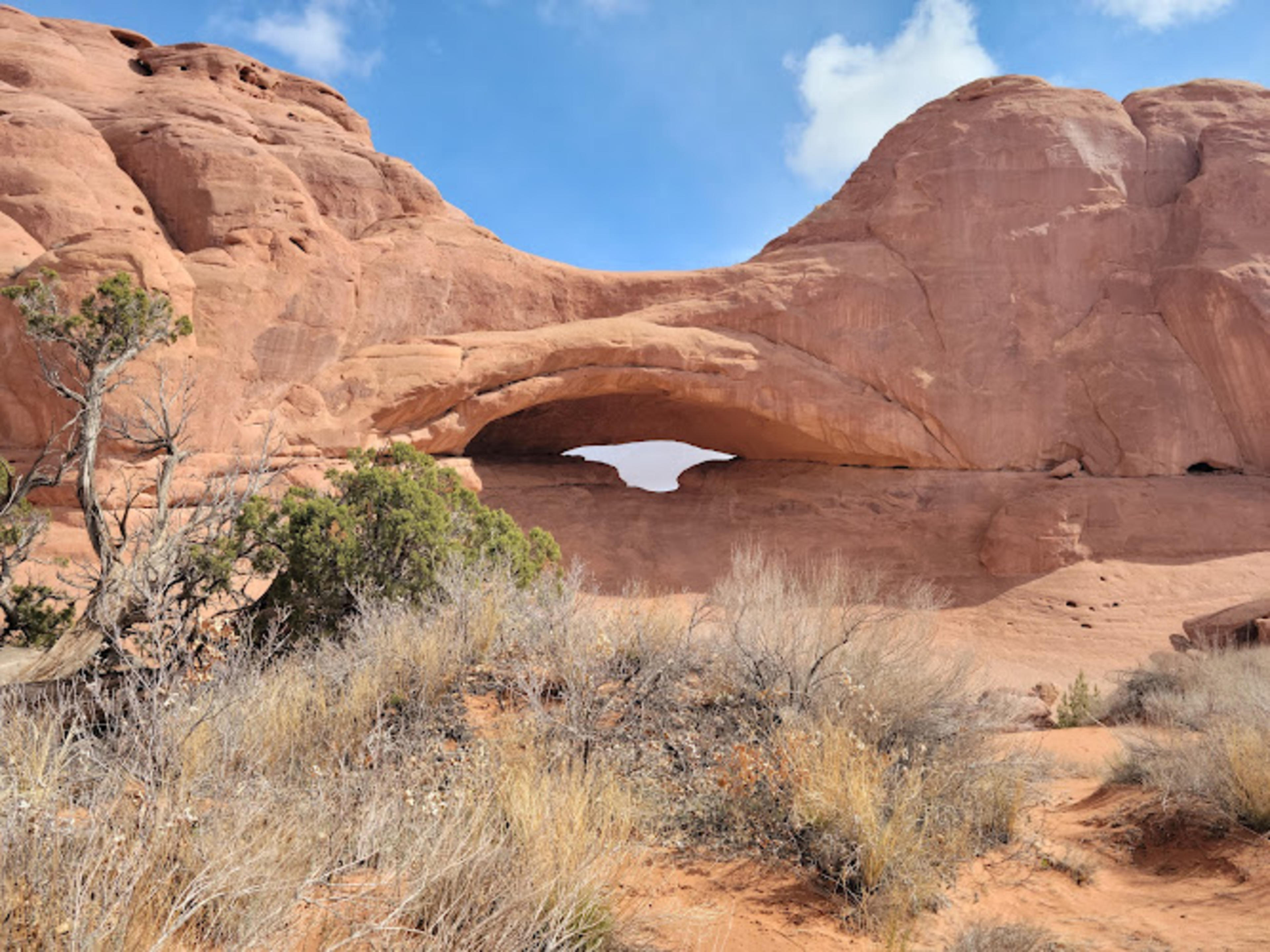 Eye of the Whale Arch