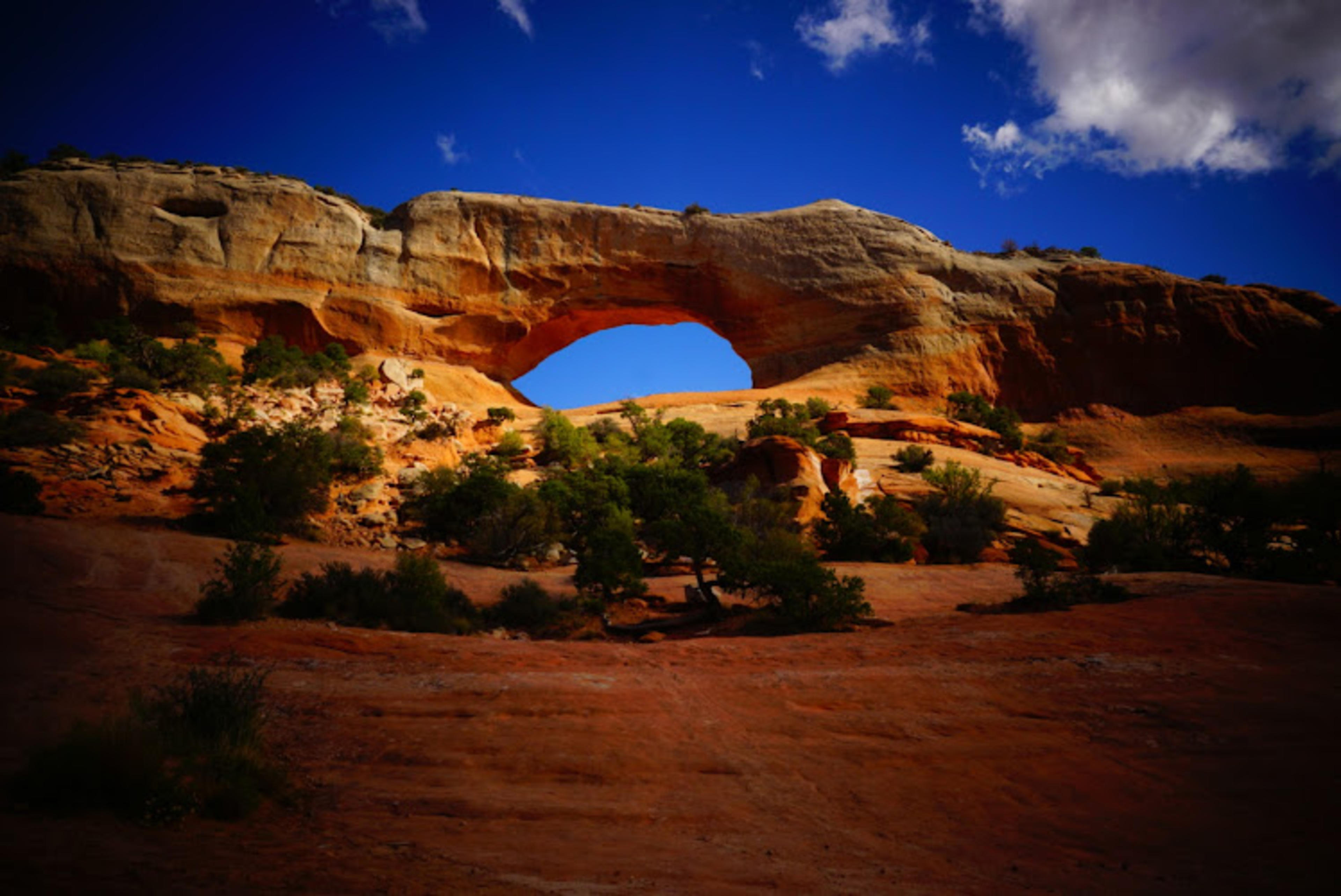 Wilson Arch