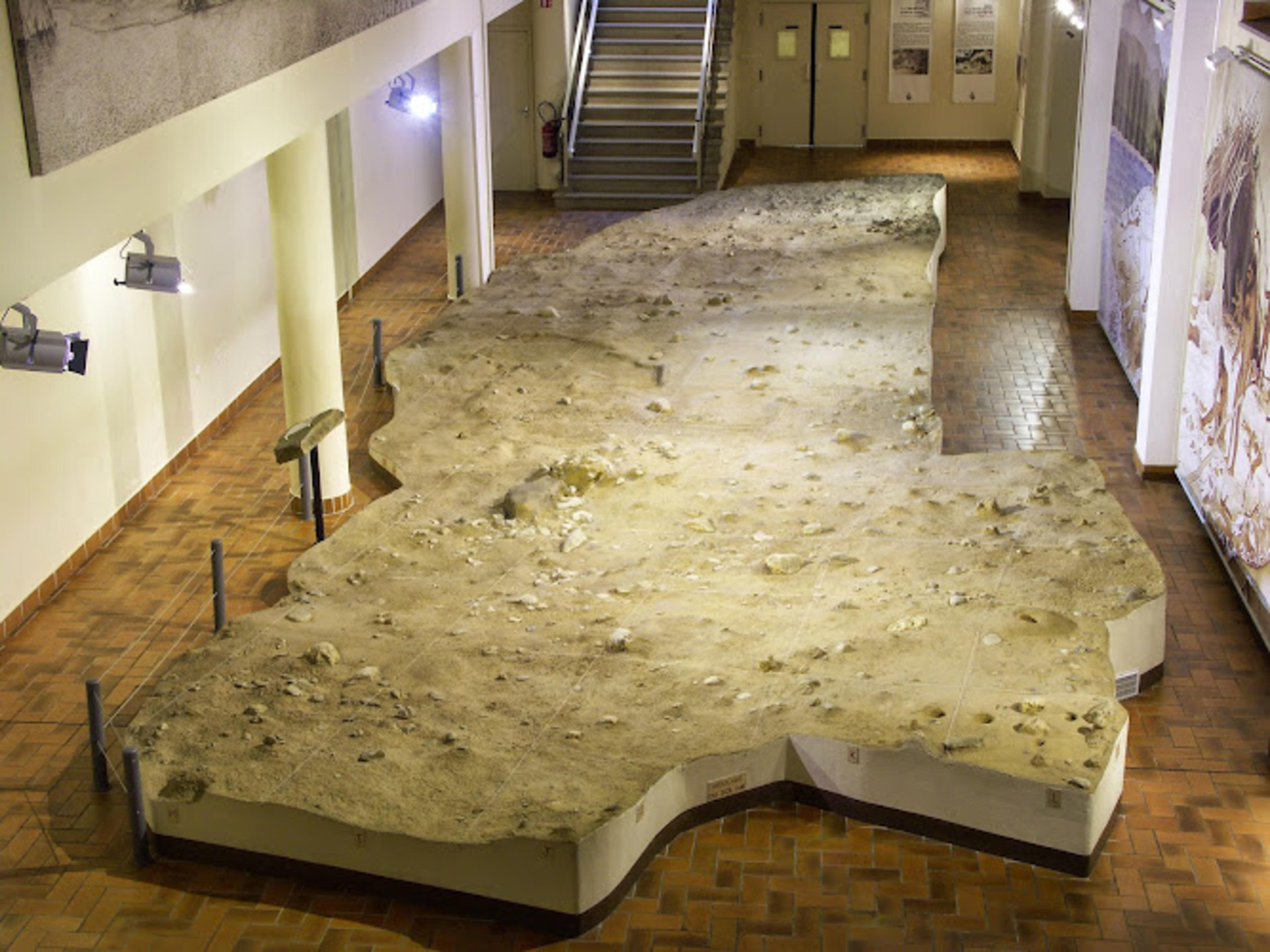 Human Palaeontology Terra Amata Museum