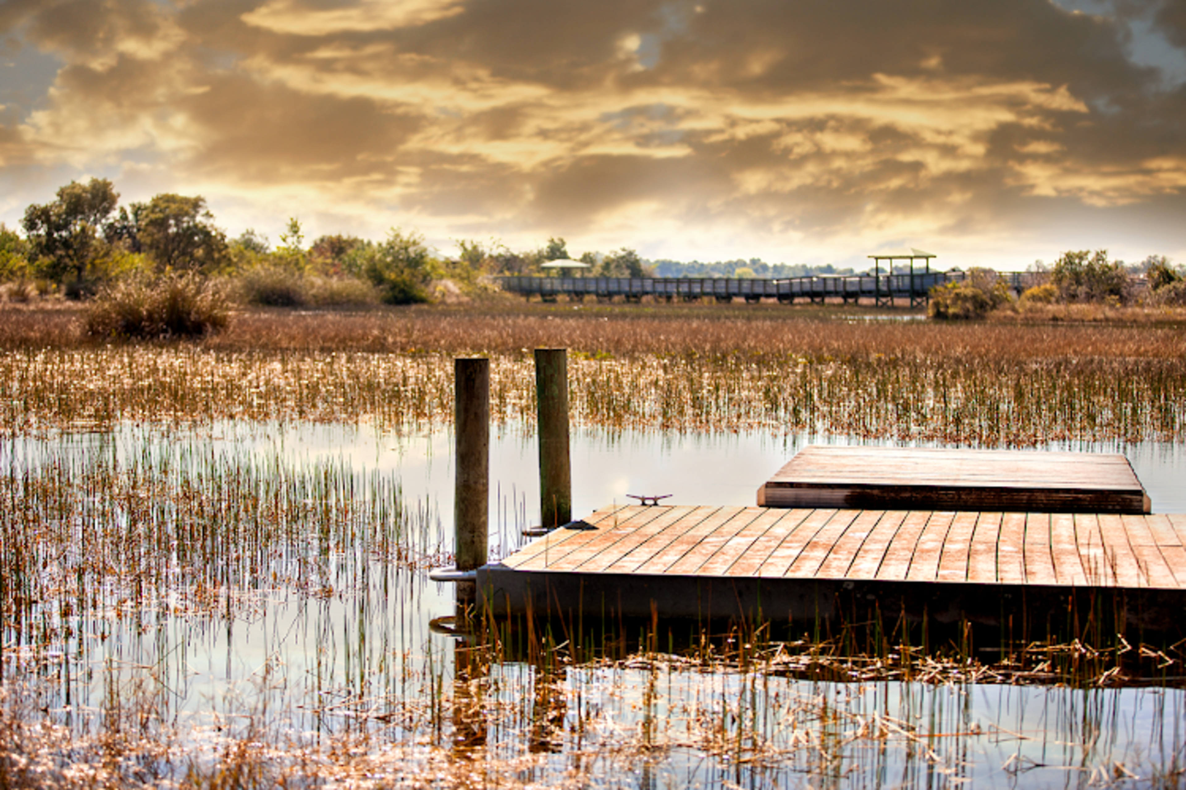 Chapel Trail Nature Preserve