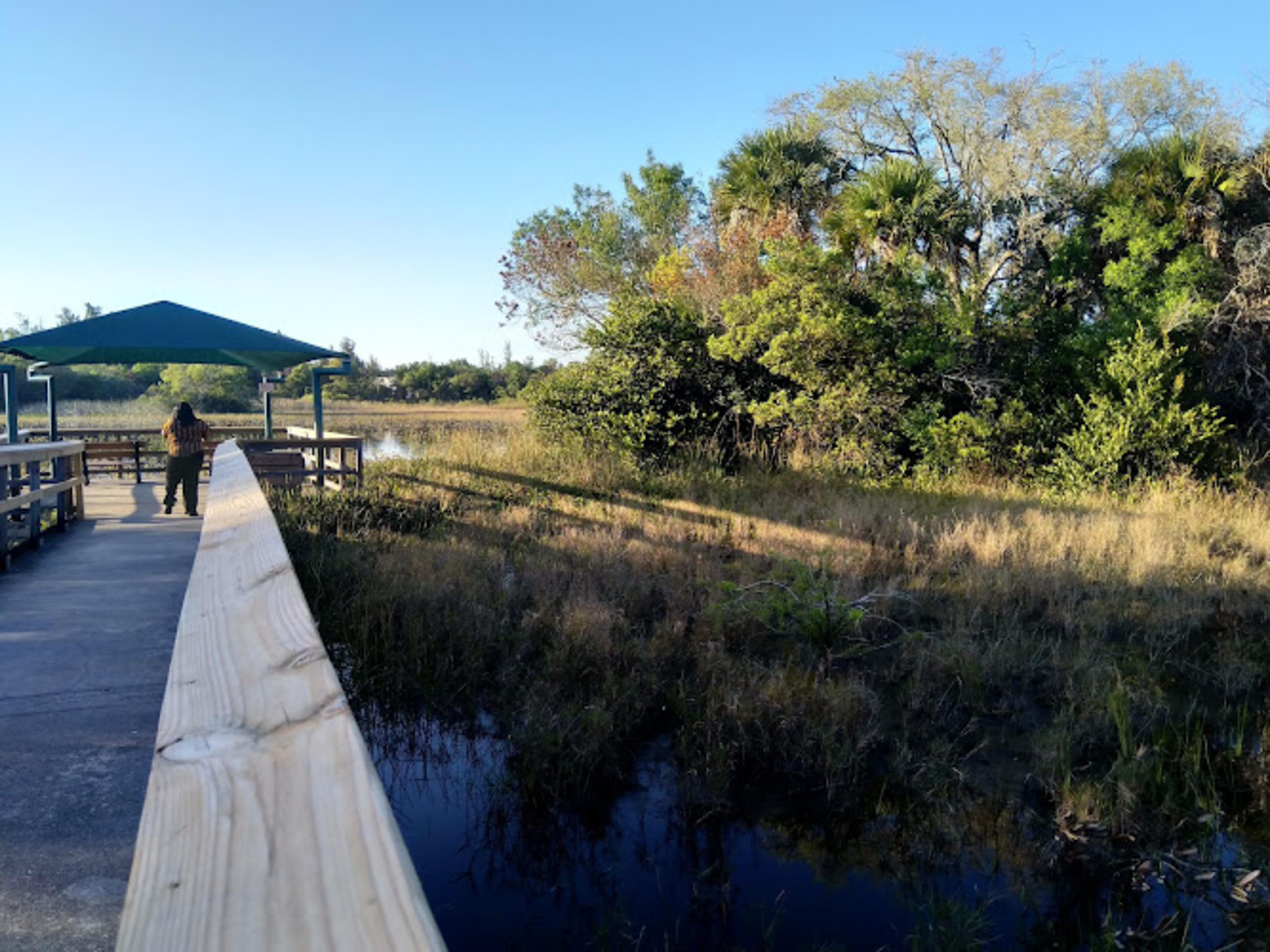 Tree Tops Park