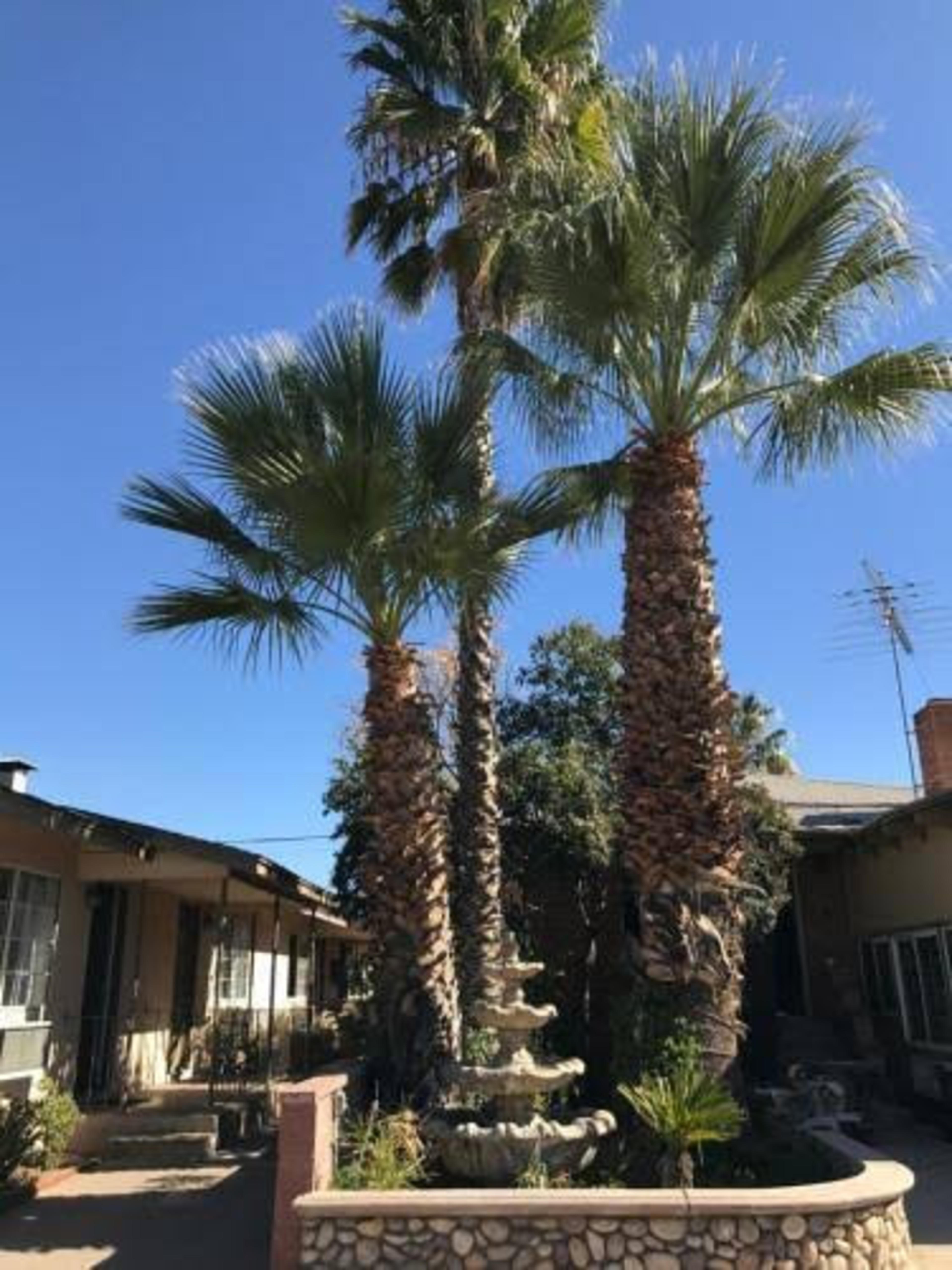 Elsinore Hot Springs & Lodge