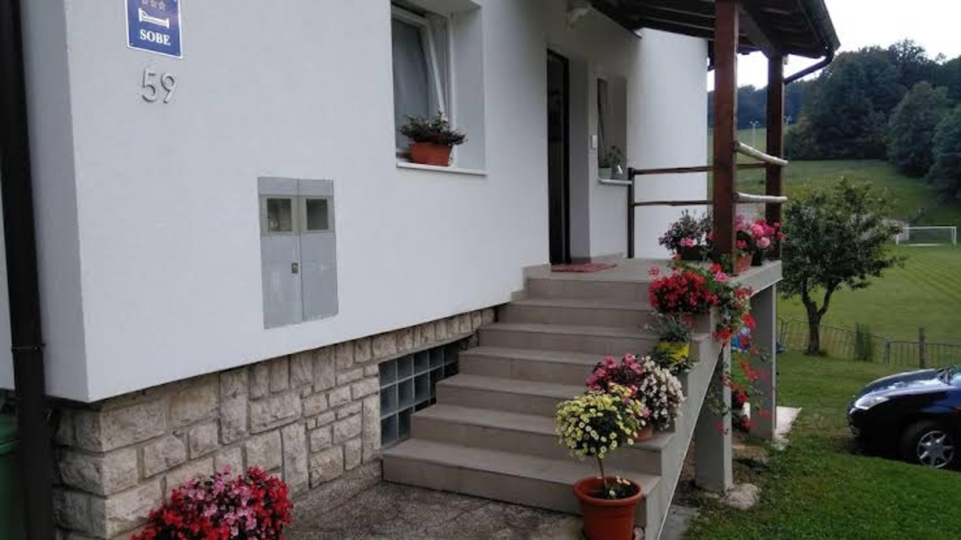 guesthouse bor