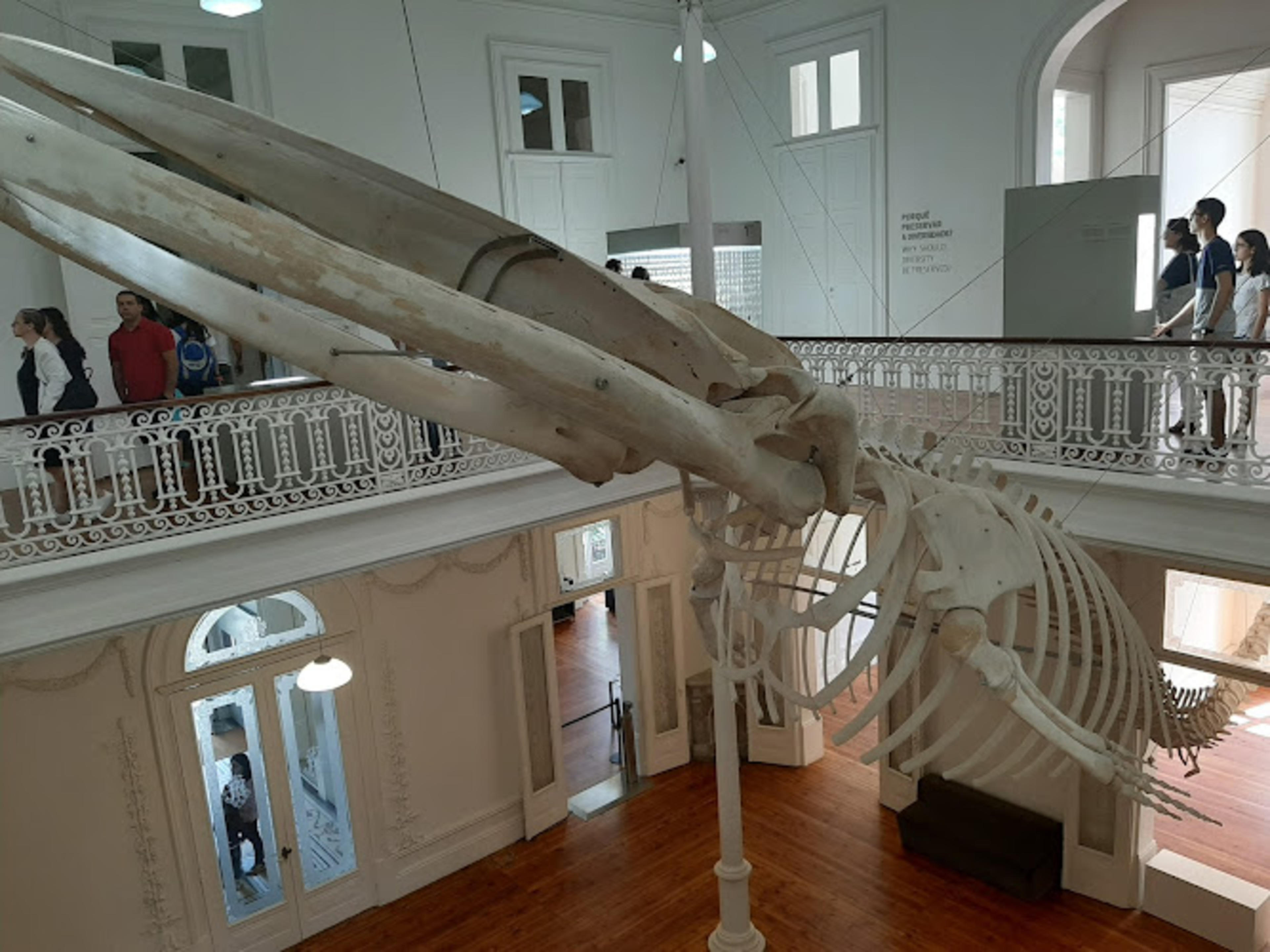 Galeria da Biodiversidade