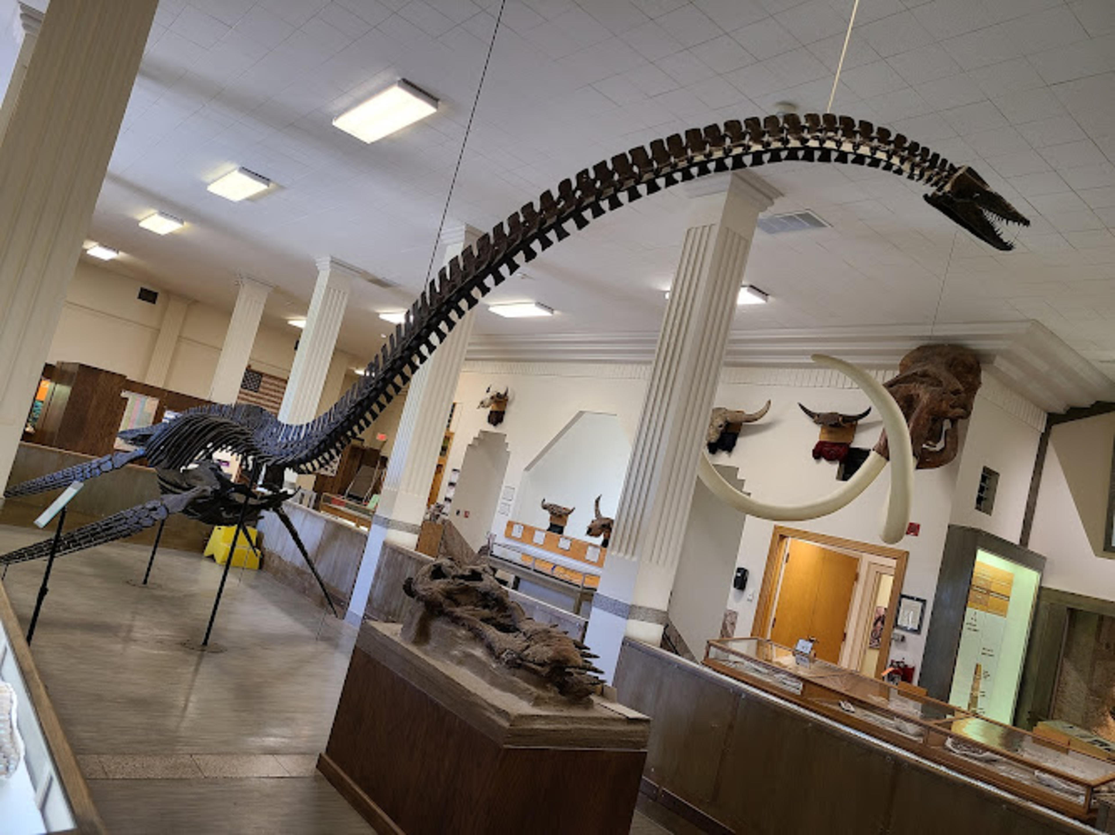 Museum of Geology
