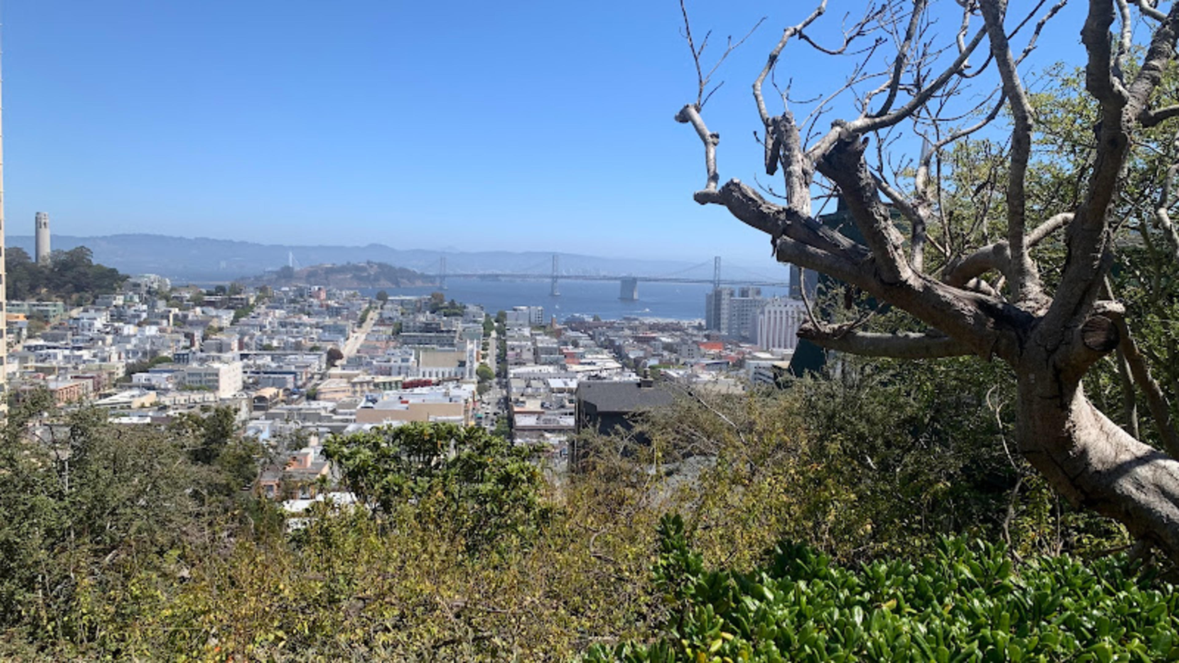 Ina Coolbrith Park
