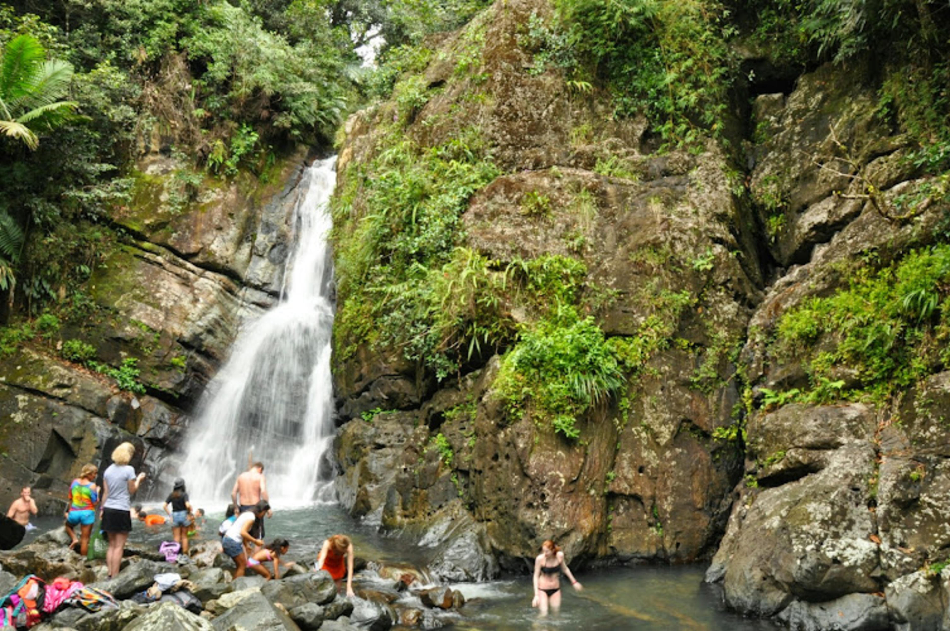 El Yunque National Forest