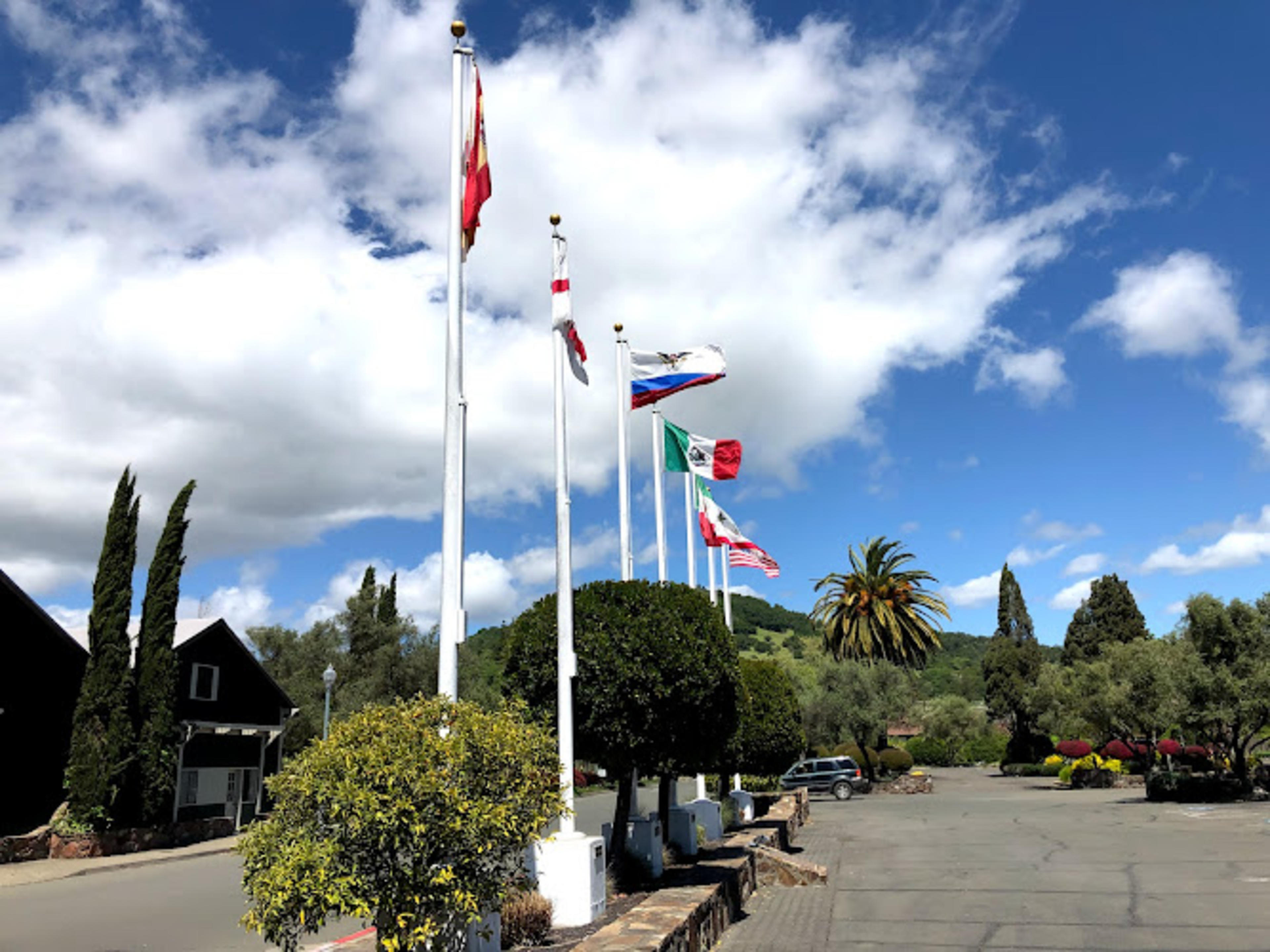 Buena Vista Winery