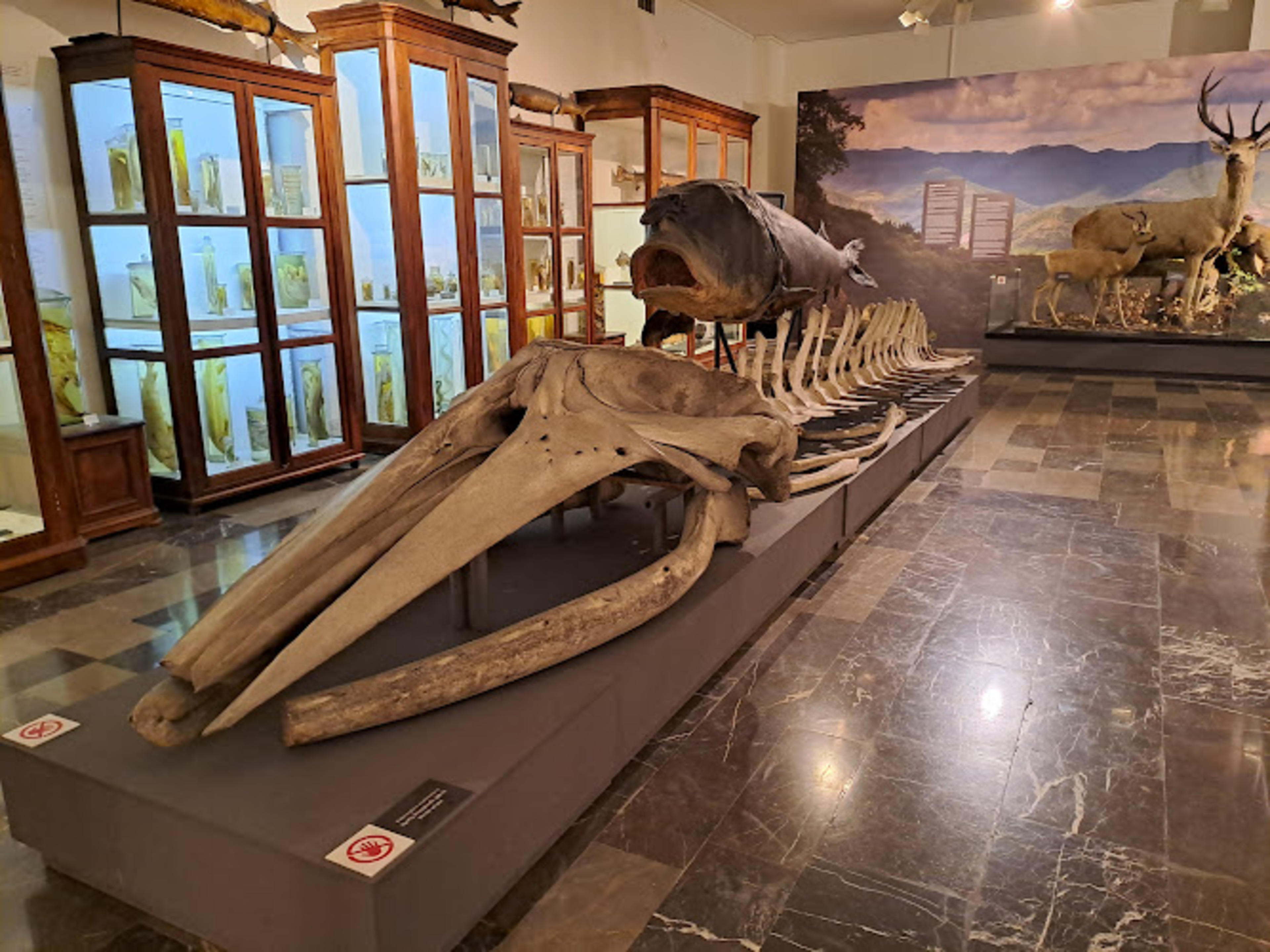 Georgian National Museum