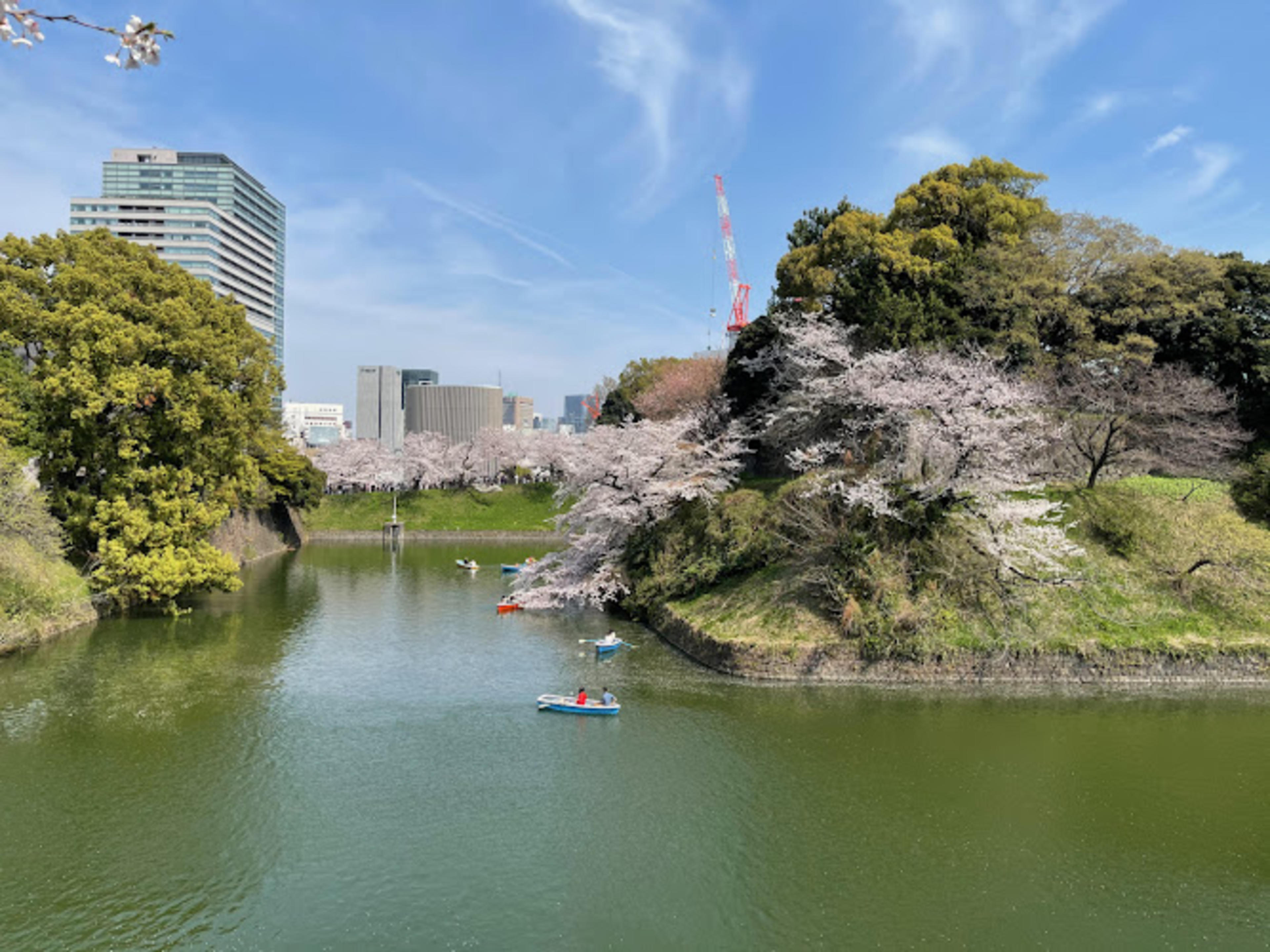 Chidorigafuchi Moat