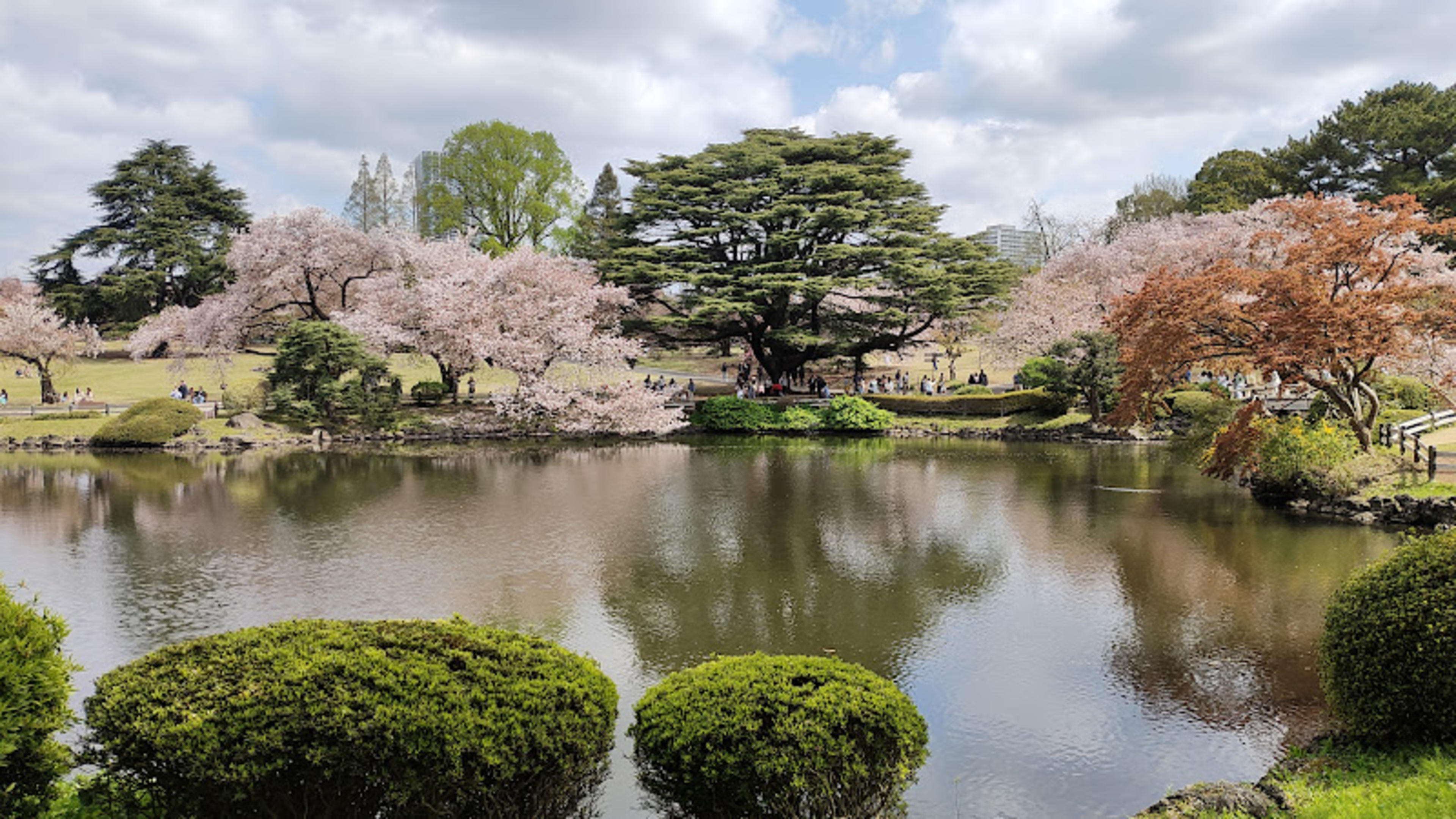 Shinjuku Gyoen National Garden
