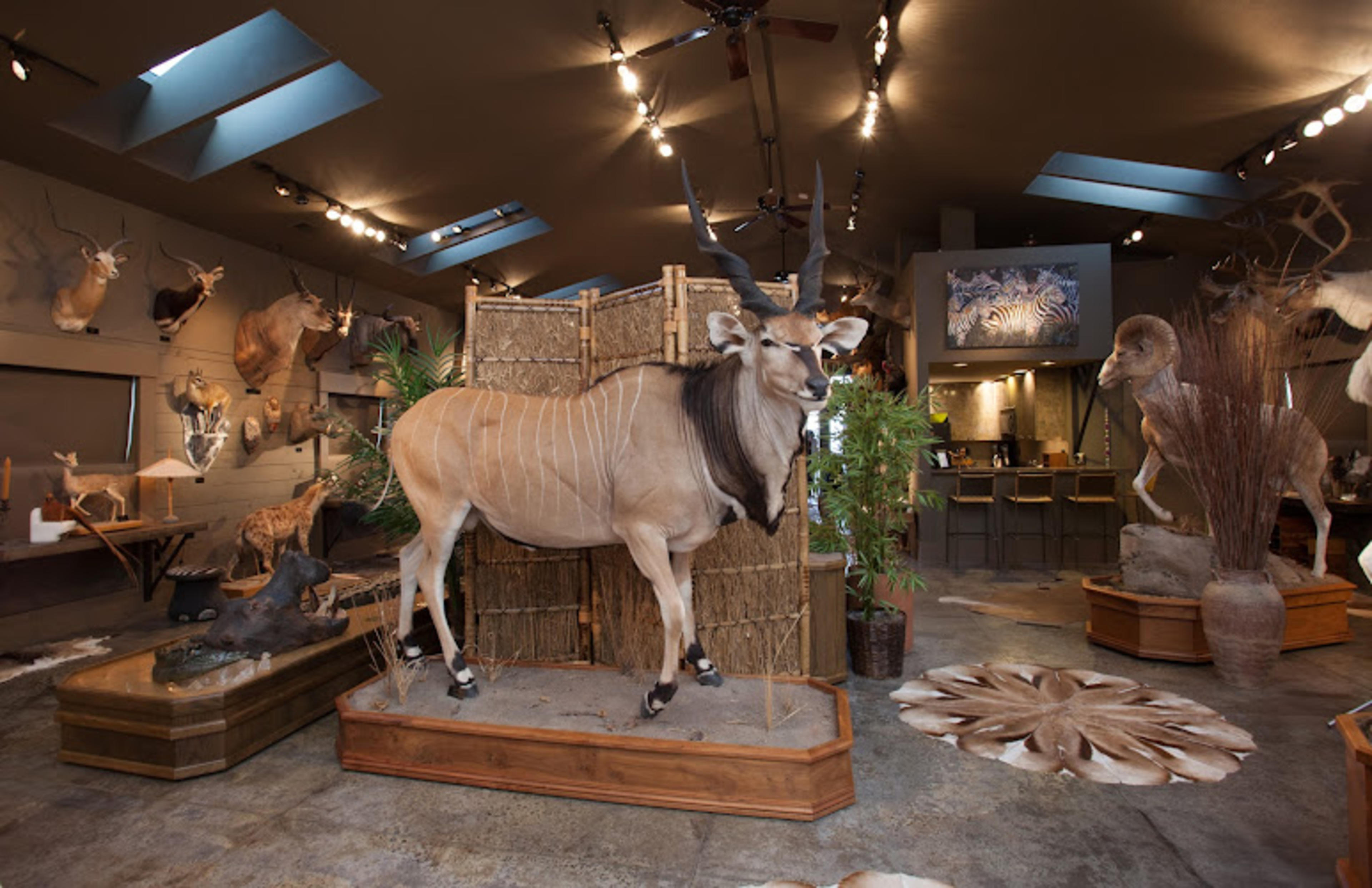Wendel Museum of Animal Conservation