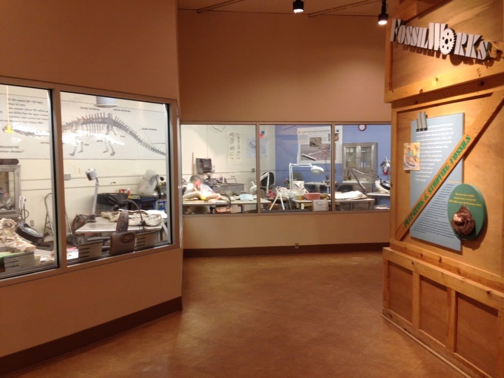 New Mexico Museum of Natural History and Science